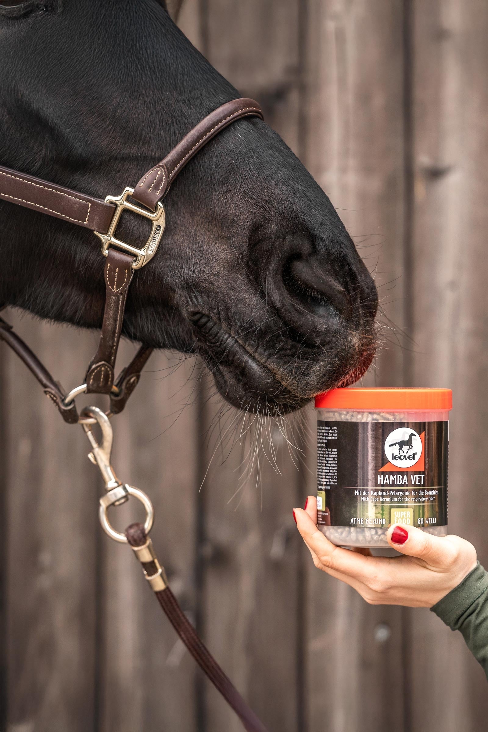 Leovet HAMBA Vet, 700g Horse Feed & Nutrition