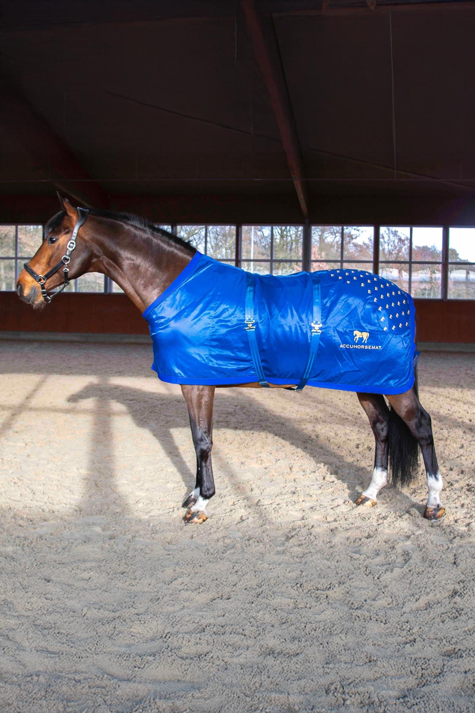 Accuhorsemat Original Derki