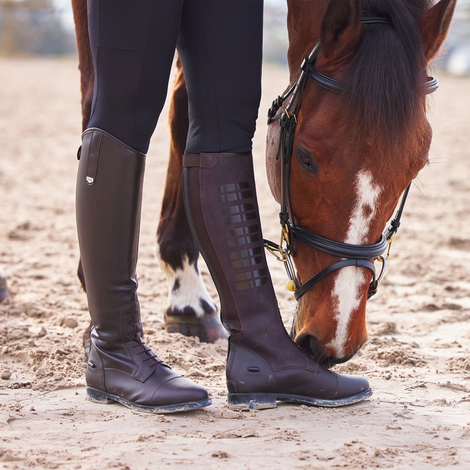 Horze Rover Field Boots with Silicone Riding Boots & Riding Shoes