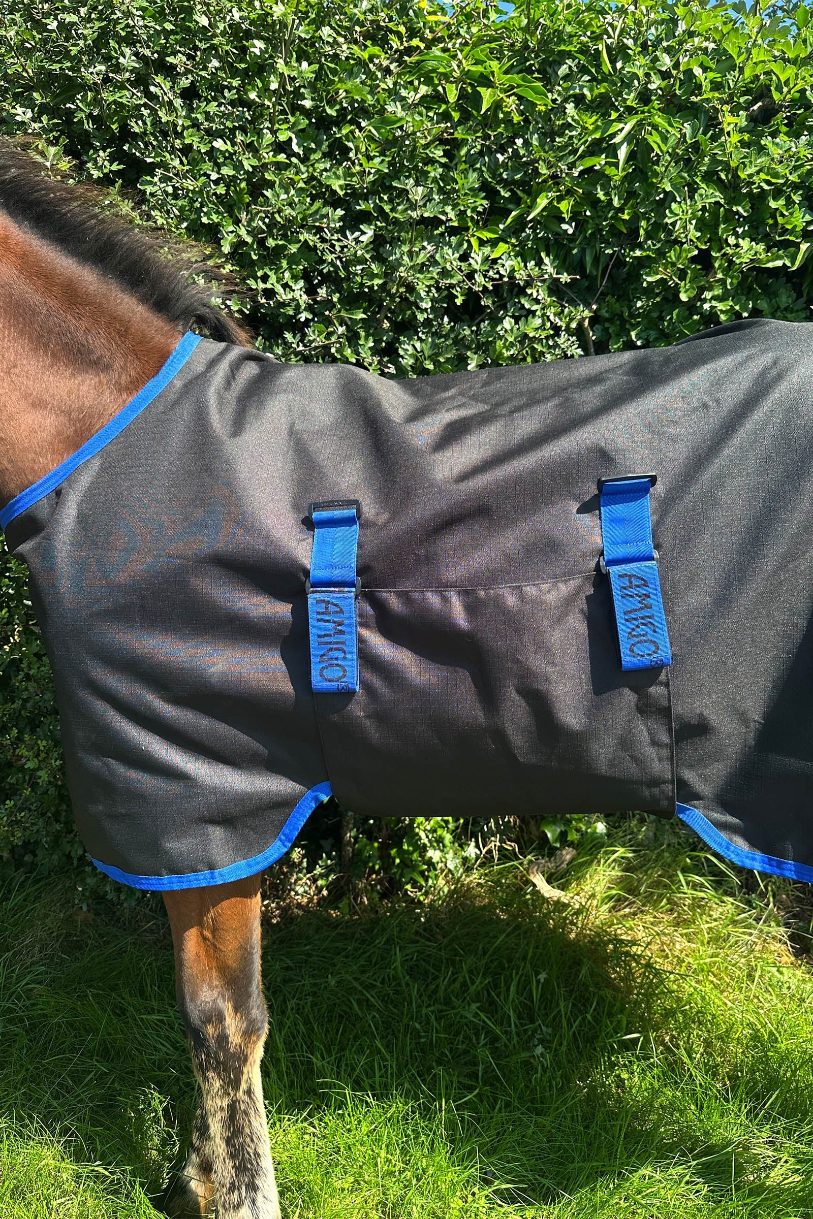 Horseware Amigo Ripstop 900D Foal Turnout 50g Horse Rugs