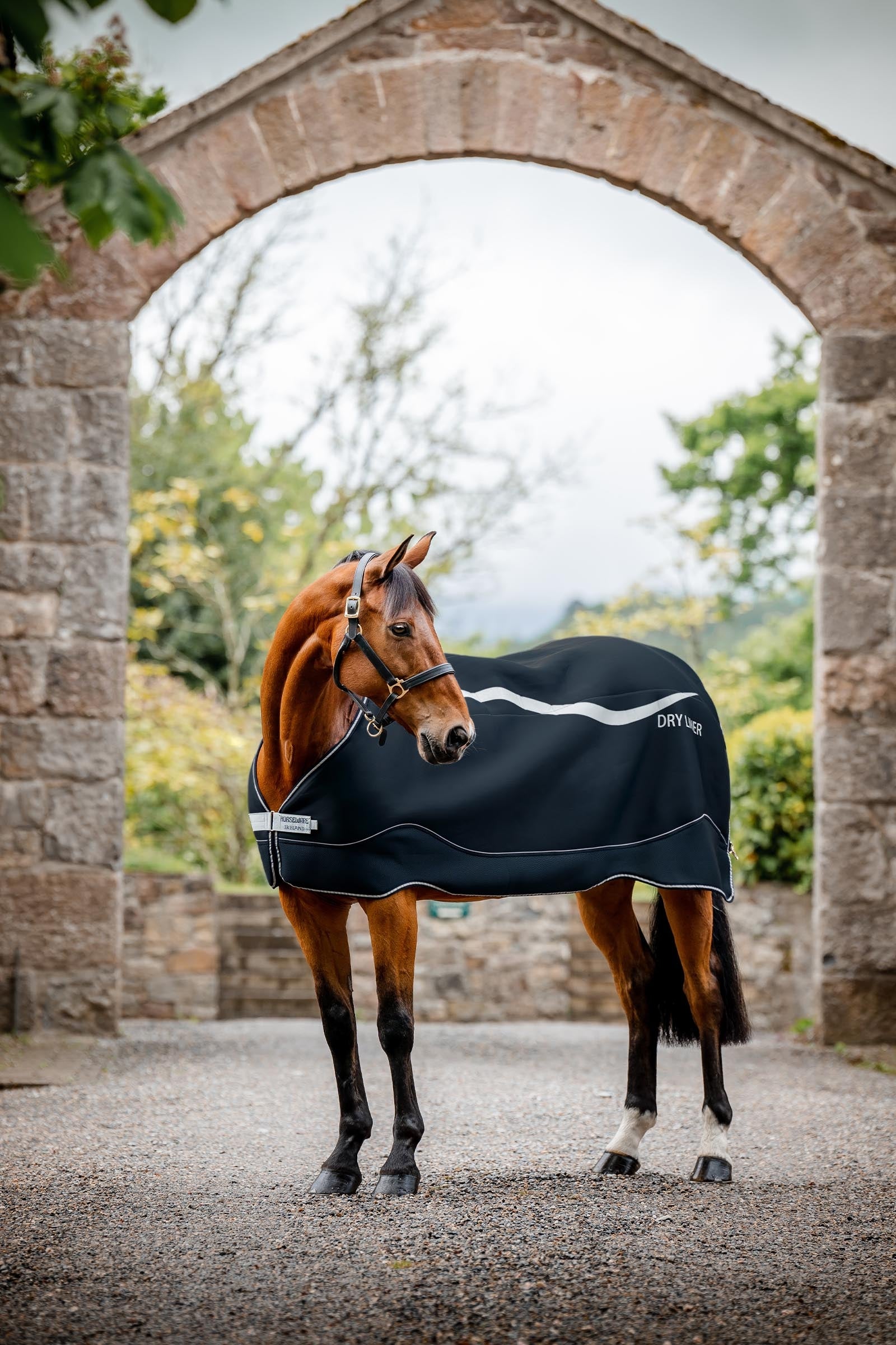 Horseware Dry Liner, 50 g Horse Rugs