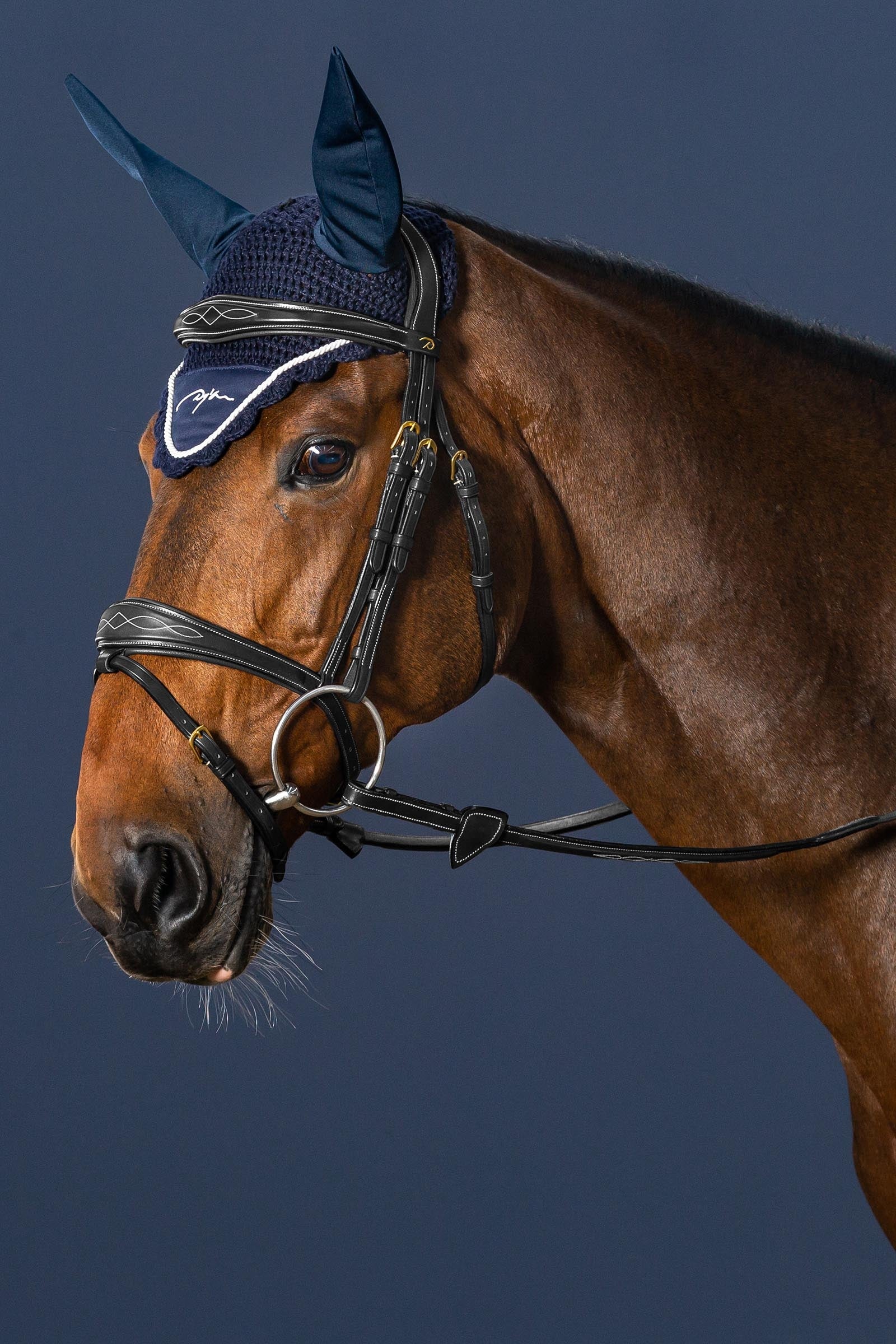 Dy'on D Collection Anatomical Bridle With Flash Noseband Bridles & Reins