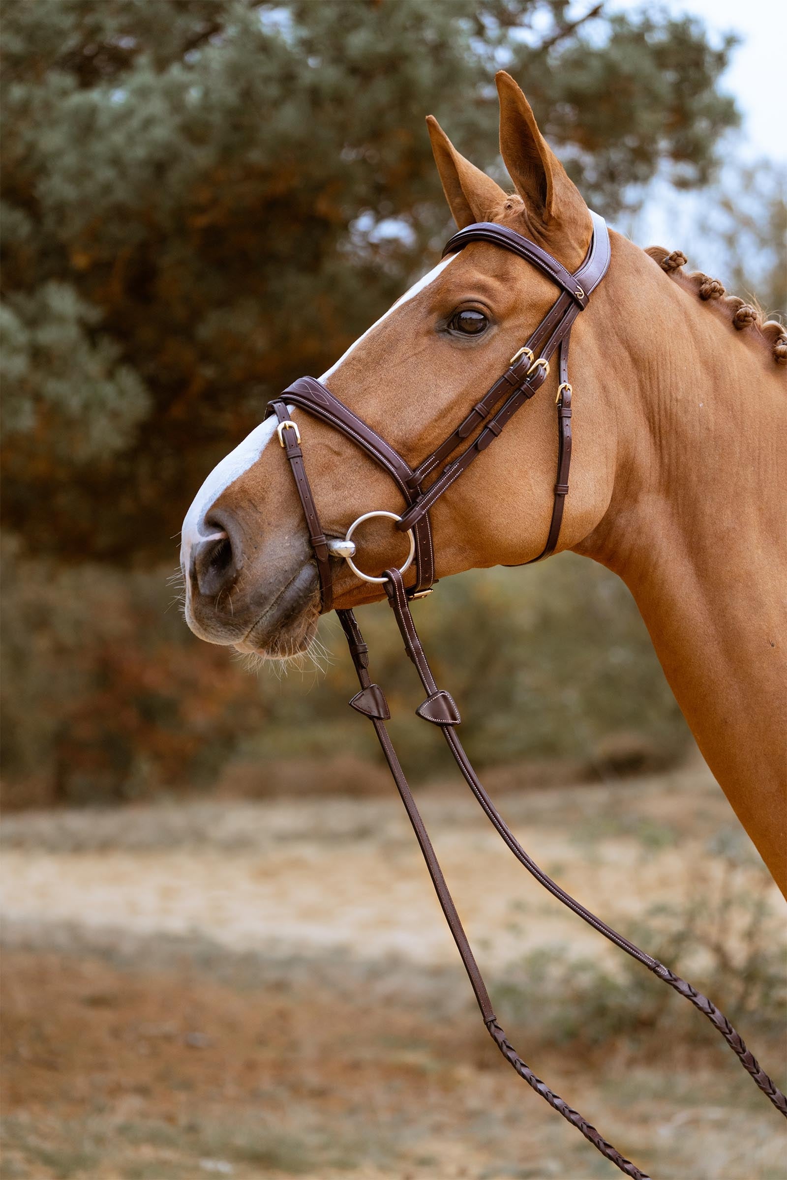 Dy'on D Collection Anatomical Bridle With Flash Noseband Bridles & Reins