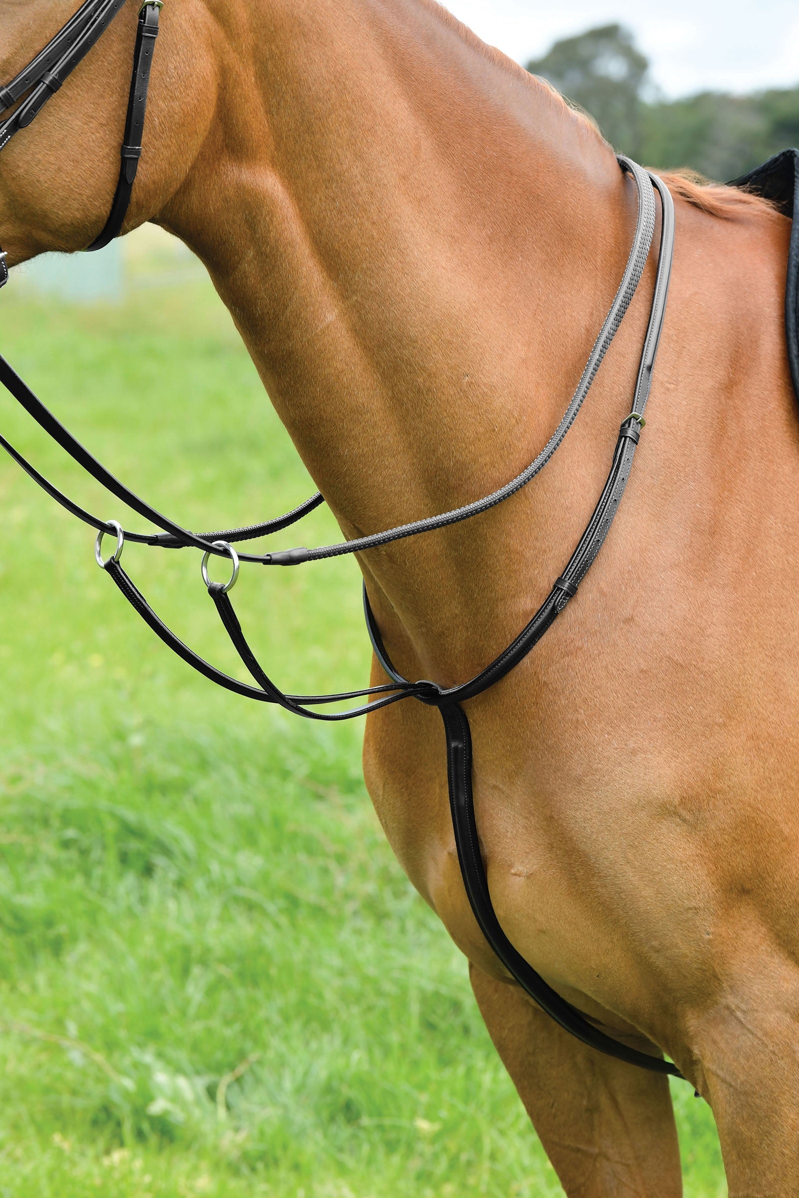 Kincade Classic Plain Raised Running Martingale Bridles & Reins