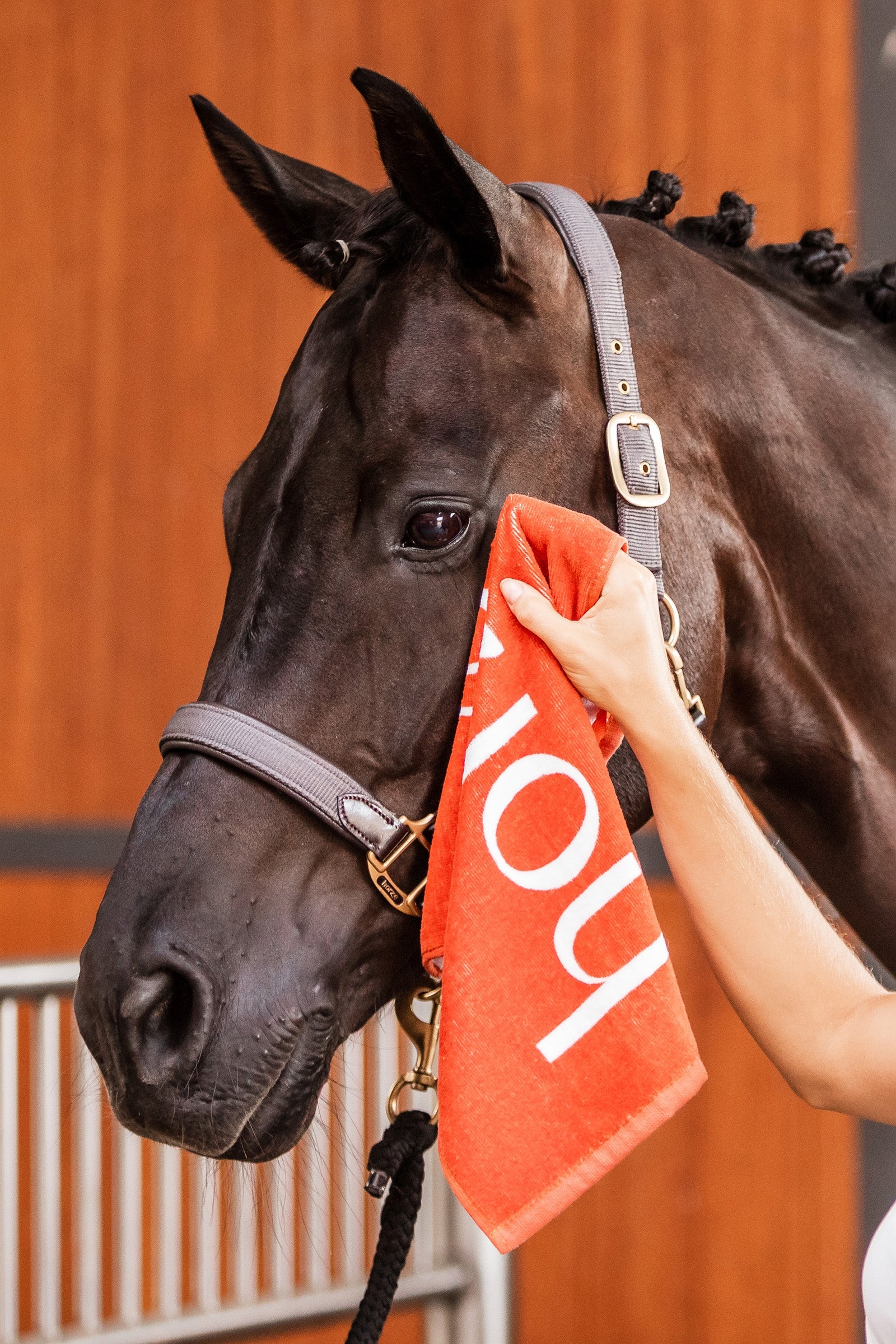 Horze Hand Towel Gifts & Toys