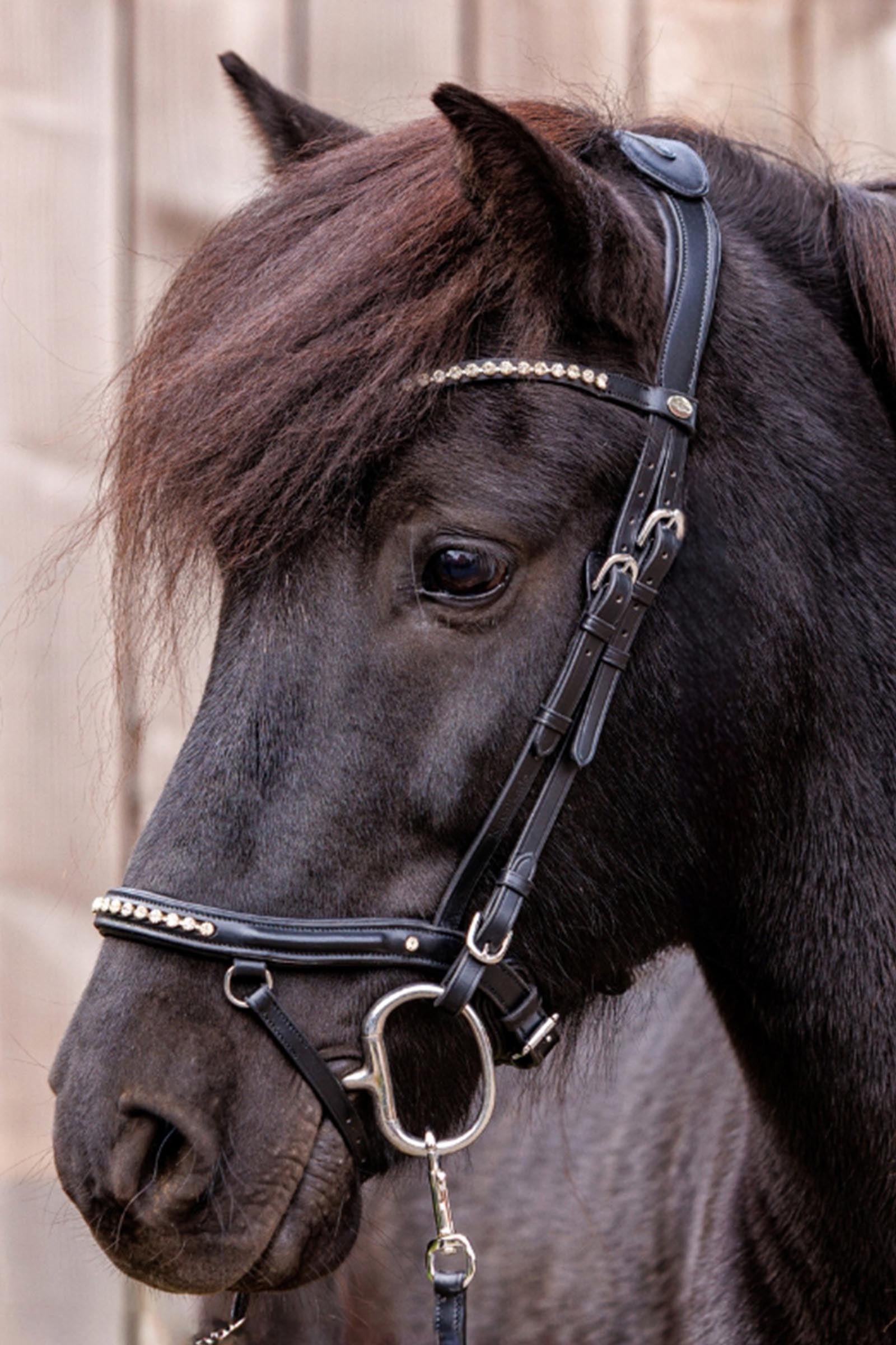 Kavalkade Jorunn Icelandic Bridle Bridles & Reins