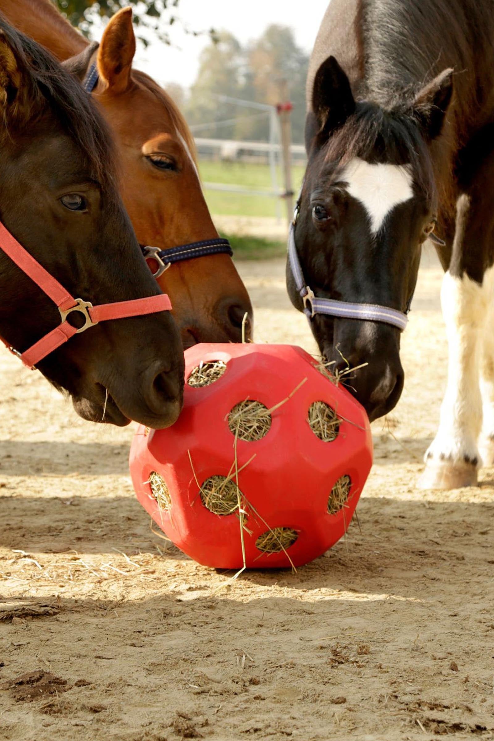 Kerbl Feed Play Ball (For 3kg Hay) Horse Feeders & Waterers