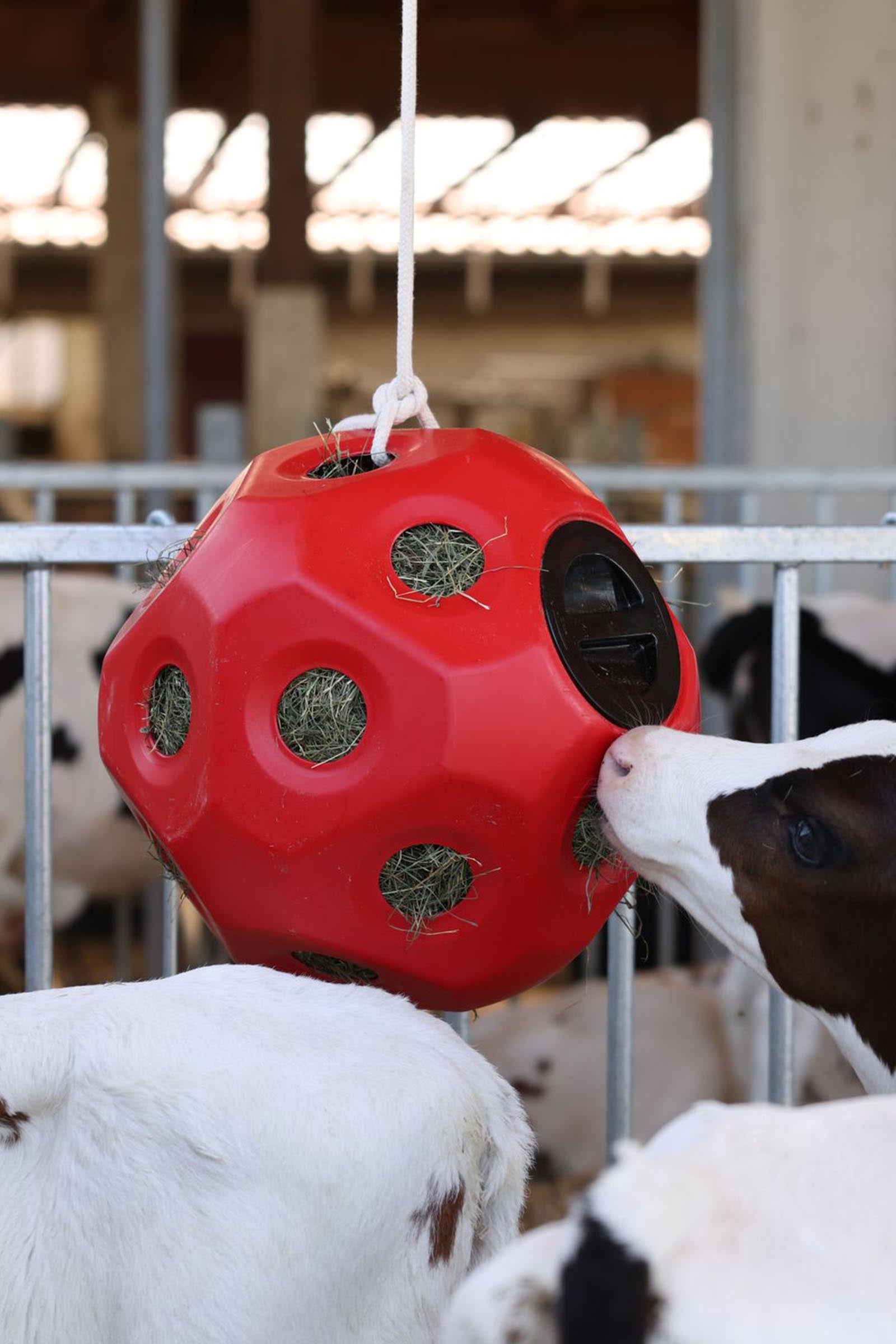 Kerbl Feed Play Ball (For 3kg Hay) Horse Feeders & Waterers
