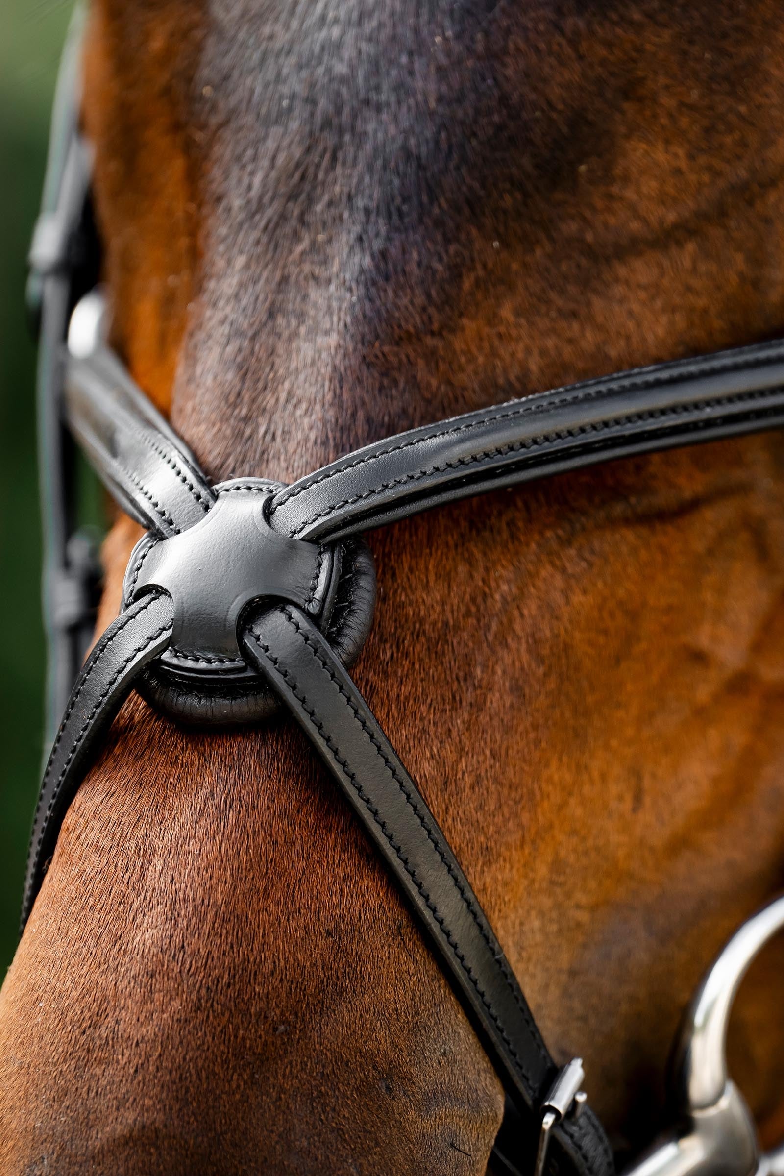 Horseware Figure 8 Grackle Bridle Bridles & Reins