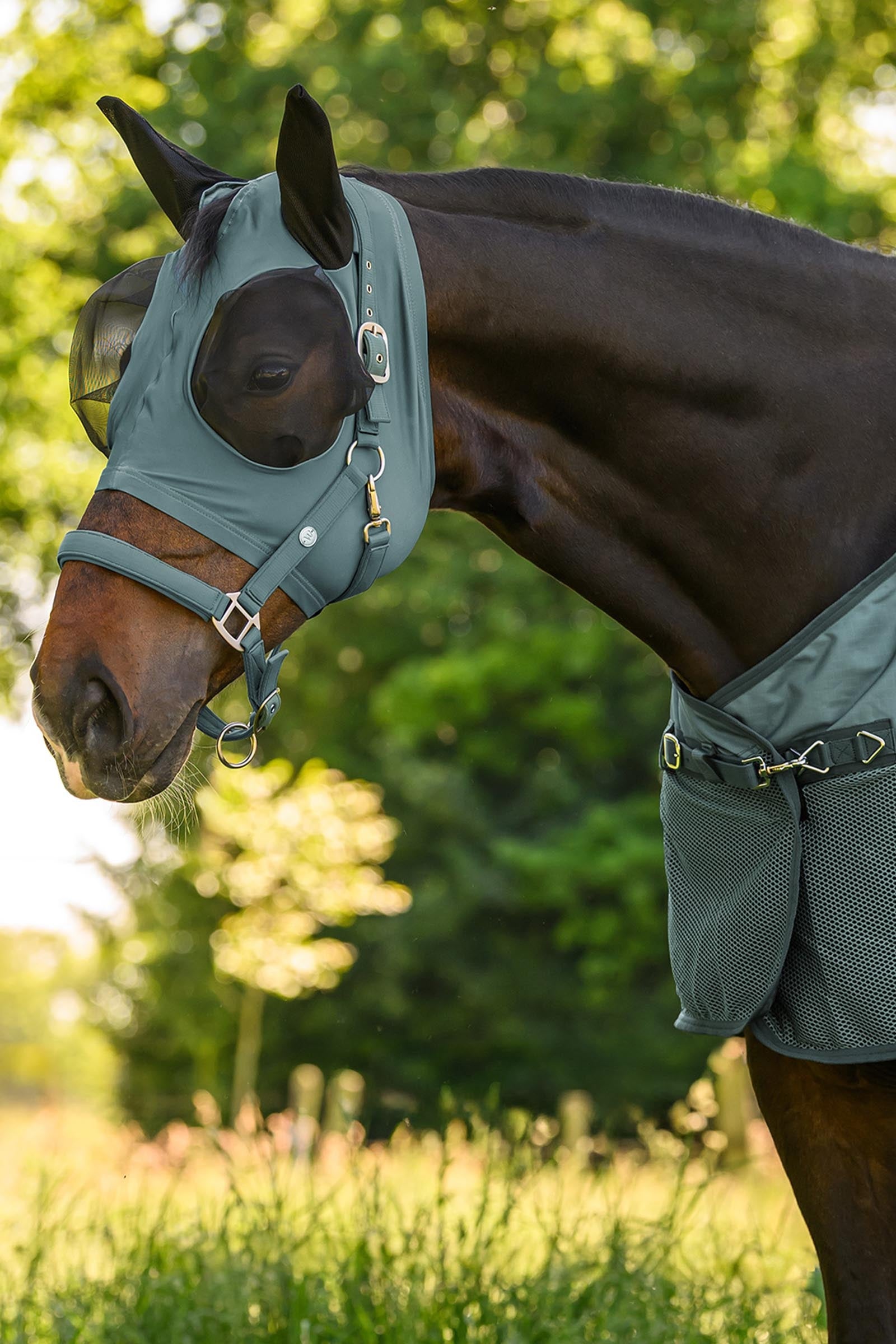 Waldhausen Trinidad Halter Halters & Leads