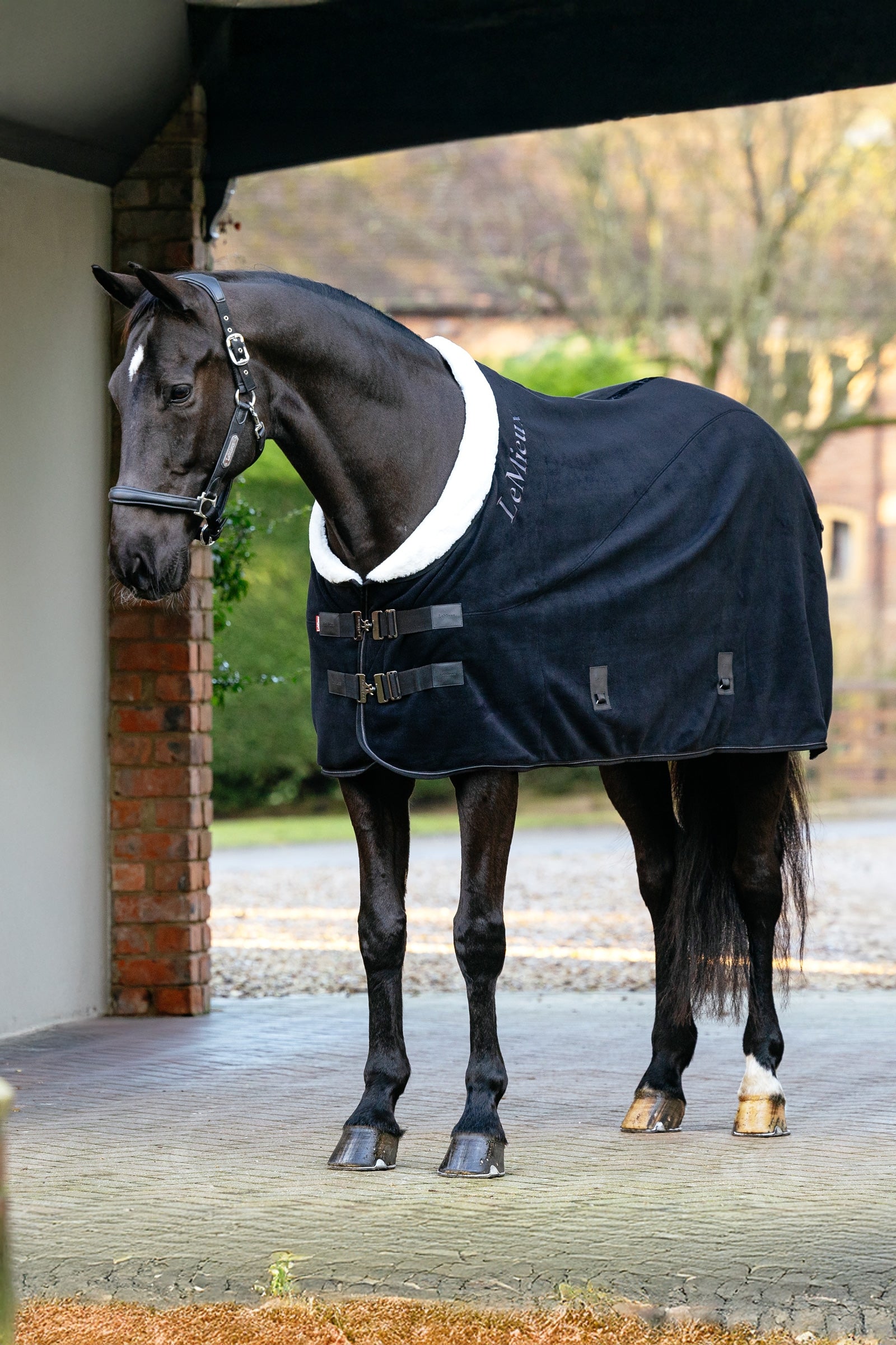 LeMieux Kudos Luxe derka polarowa Derki