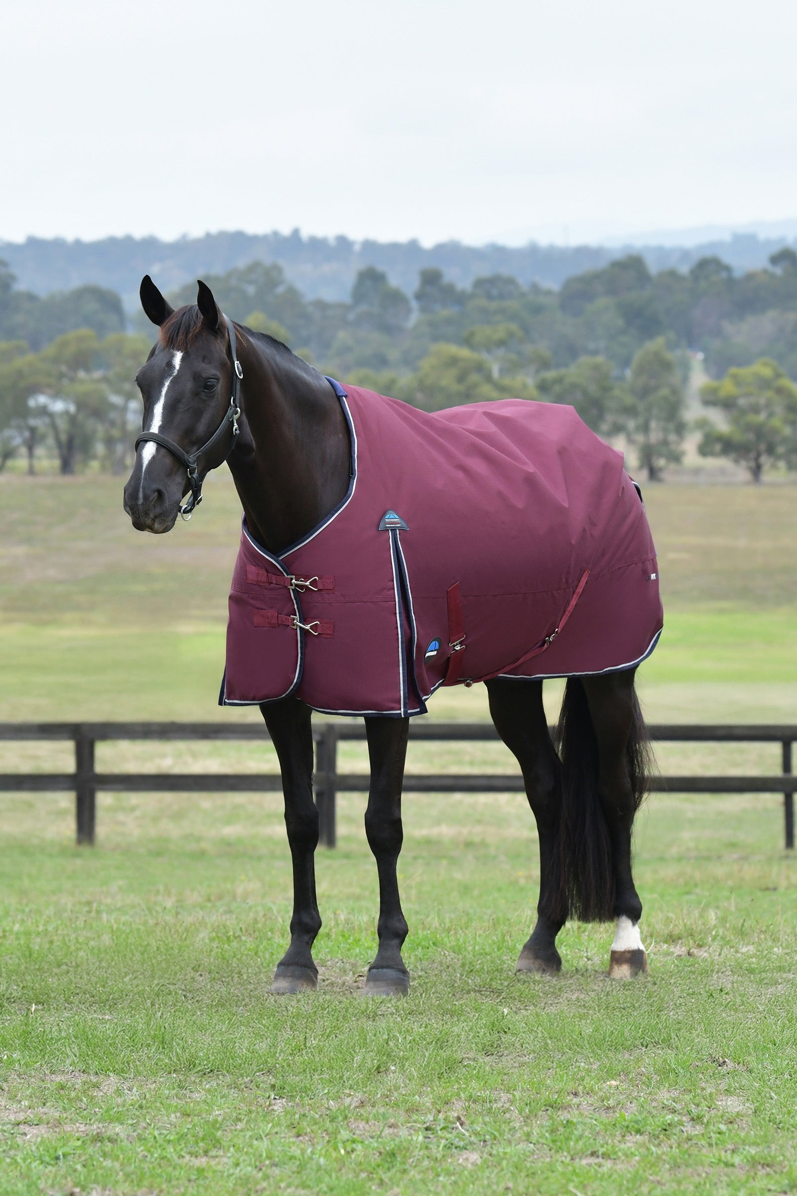 Weatherbeeta ComFiTec Essential Turnout Rug, 0 g Derki