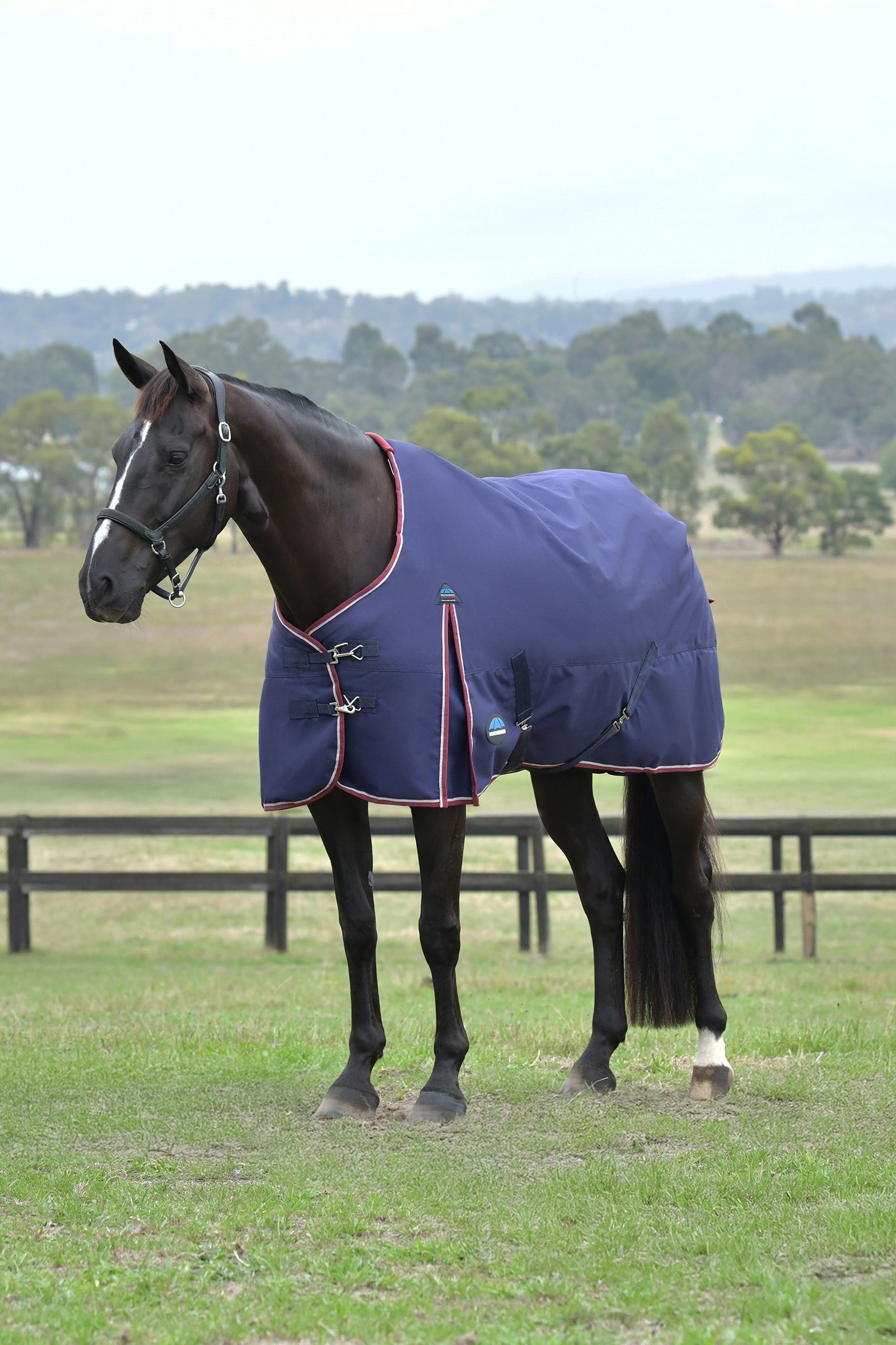 Weatherbeeta ComFiTec Essential Turnout Standard Neck 0G Derki