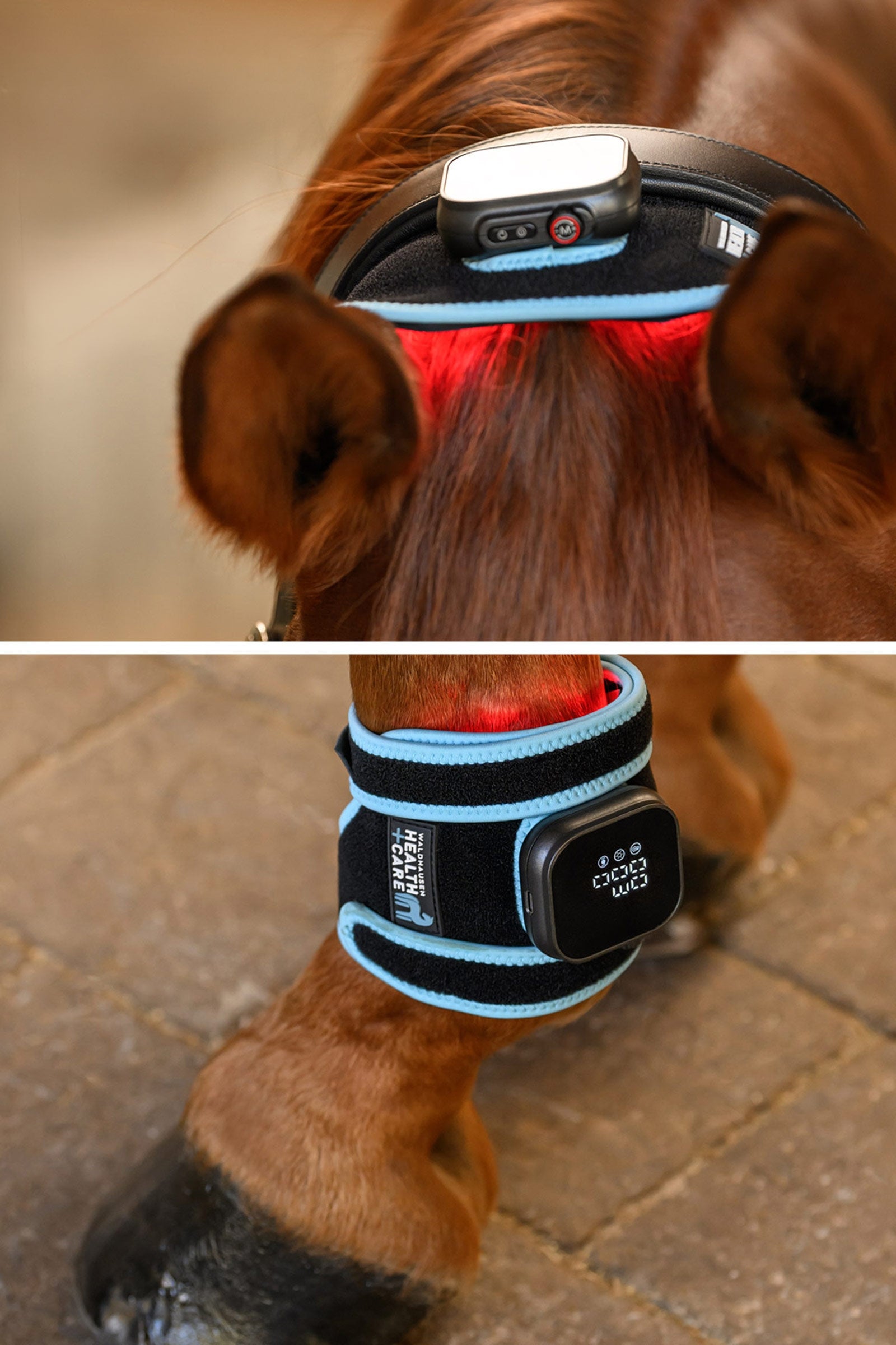 Waldhausen Health + Care podkładka FlexPad na podczerwień Leg Protection & Hoof Protection for Horses