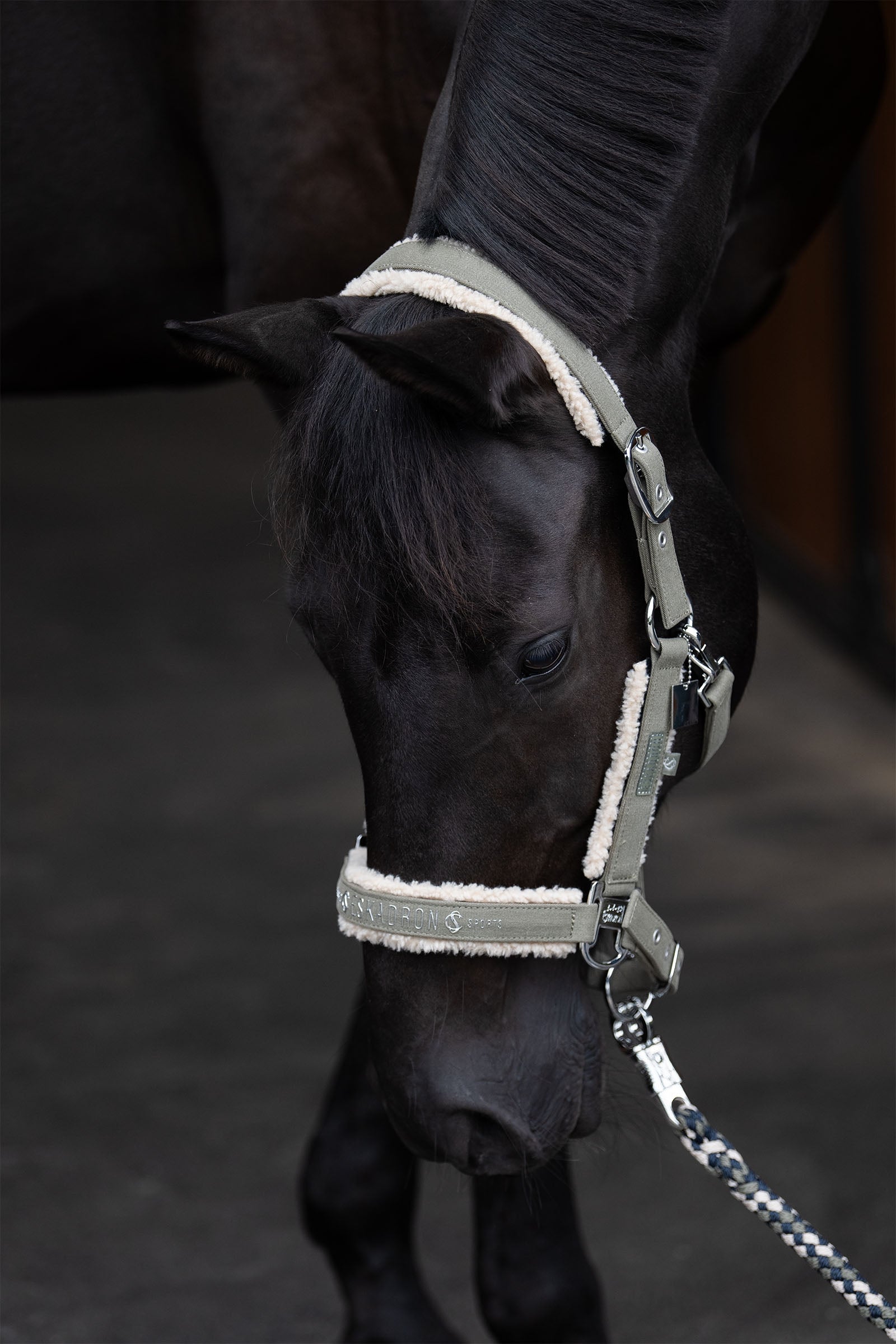 Eskadron Classic Sports SS25 Denim Double Pin Teddyfleece Headcollar Halters & Leads