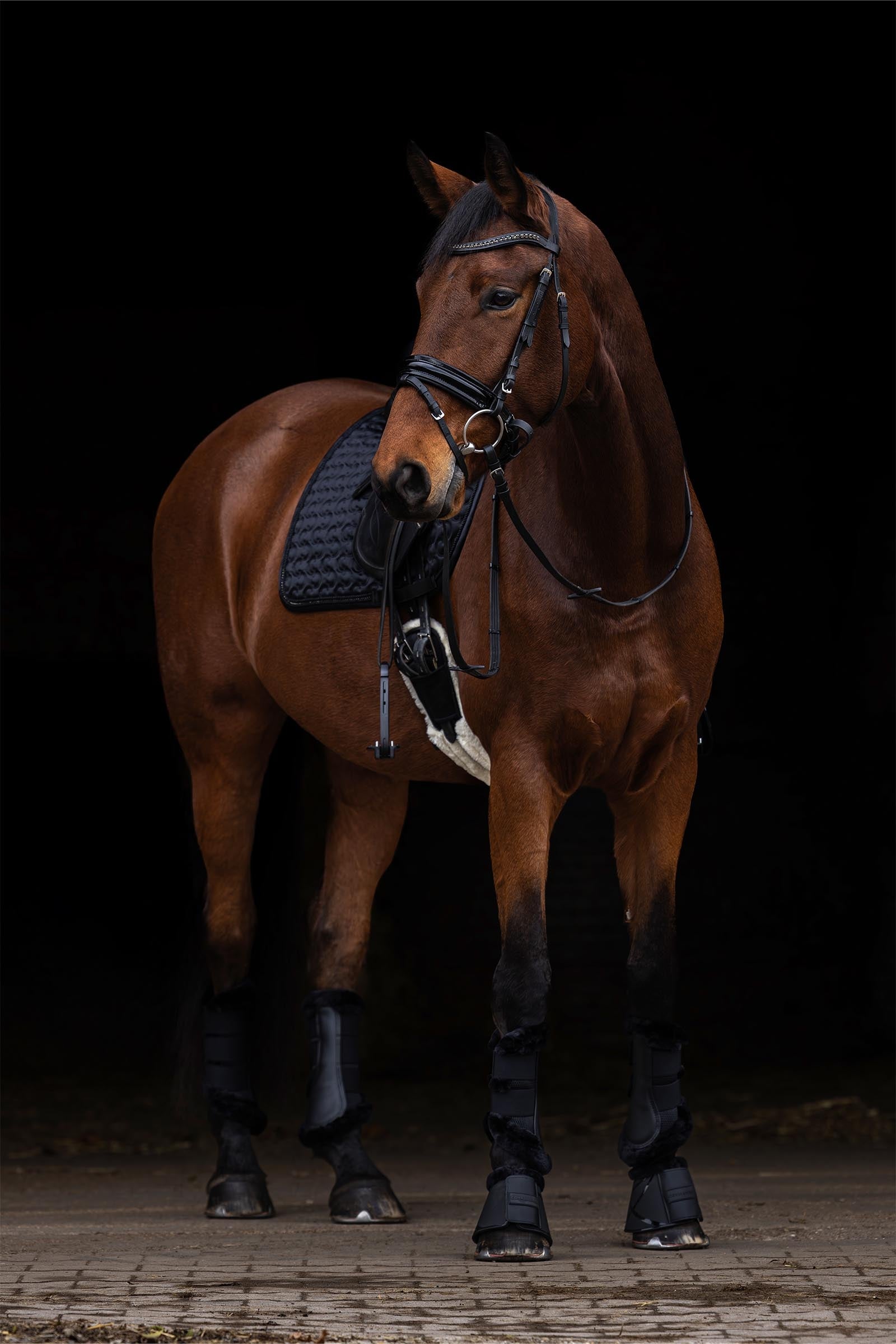 Covalliero Dressage Saddle Pad With Glitter Appliqués Saddle Pads