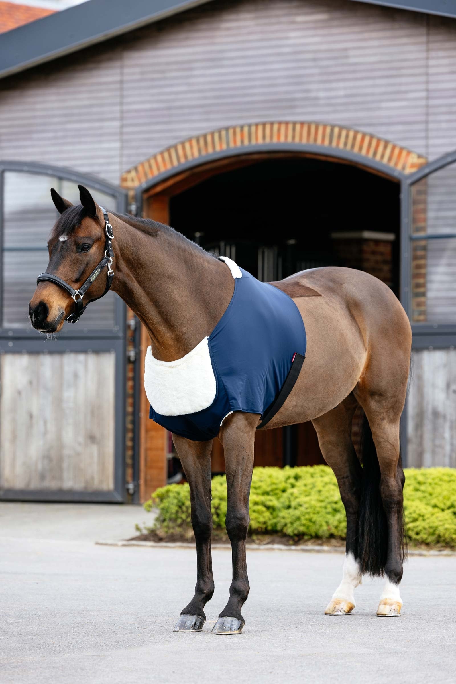 LeMieux Sensitive Friction-Free Chest Protector Horse Rugs