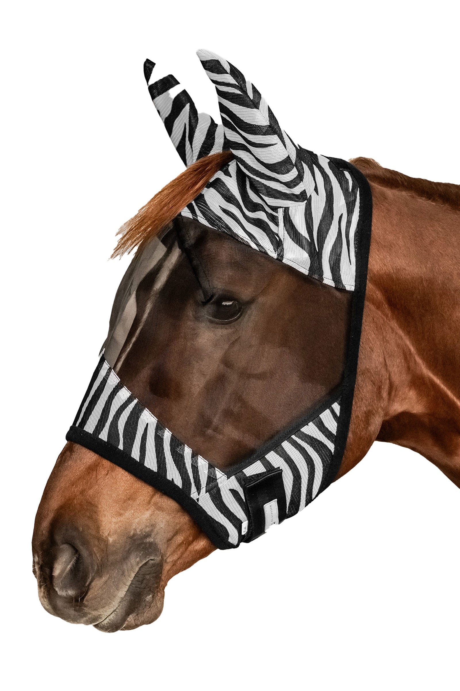 Waldhausen Zebra maska przeciw owadom z ochroną UV Ochrona koni przed owadami