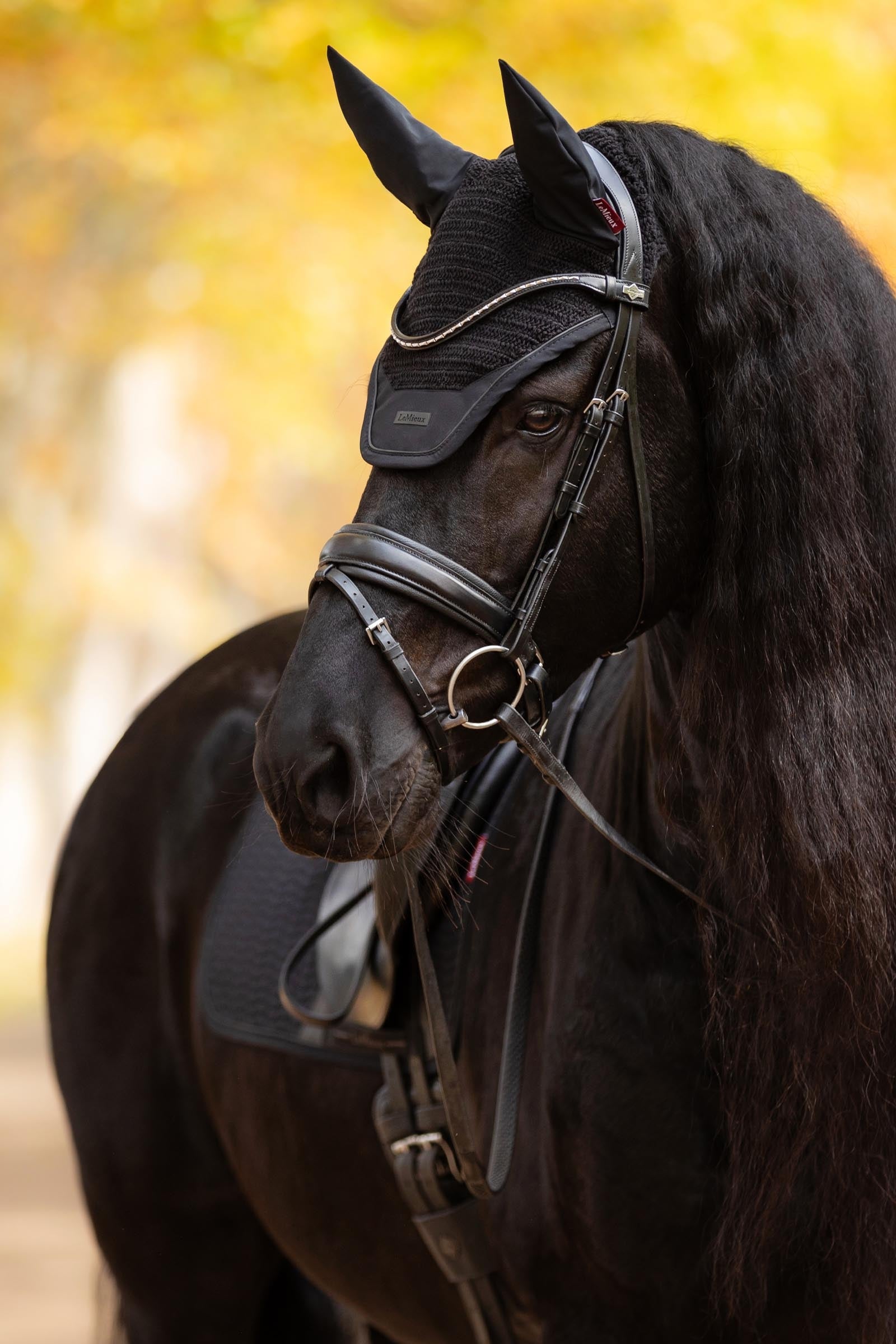 LeMieux Essence Fly Hood Saddle Pads