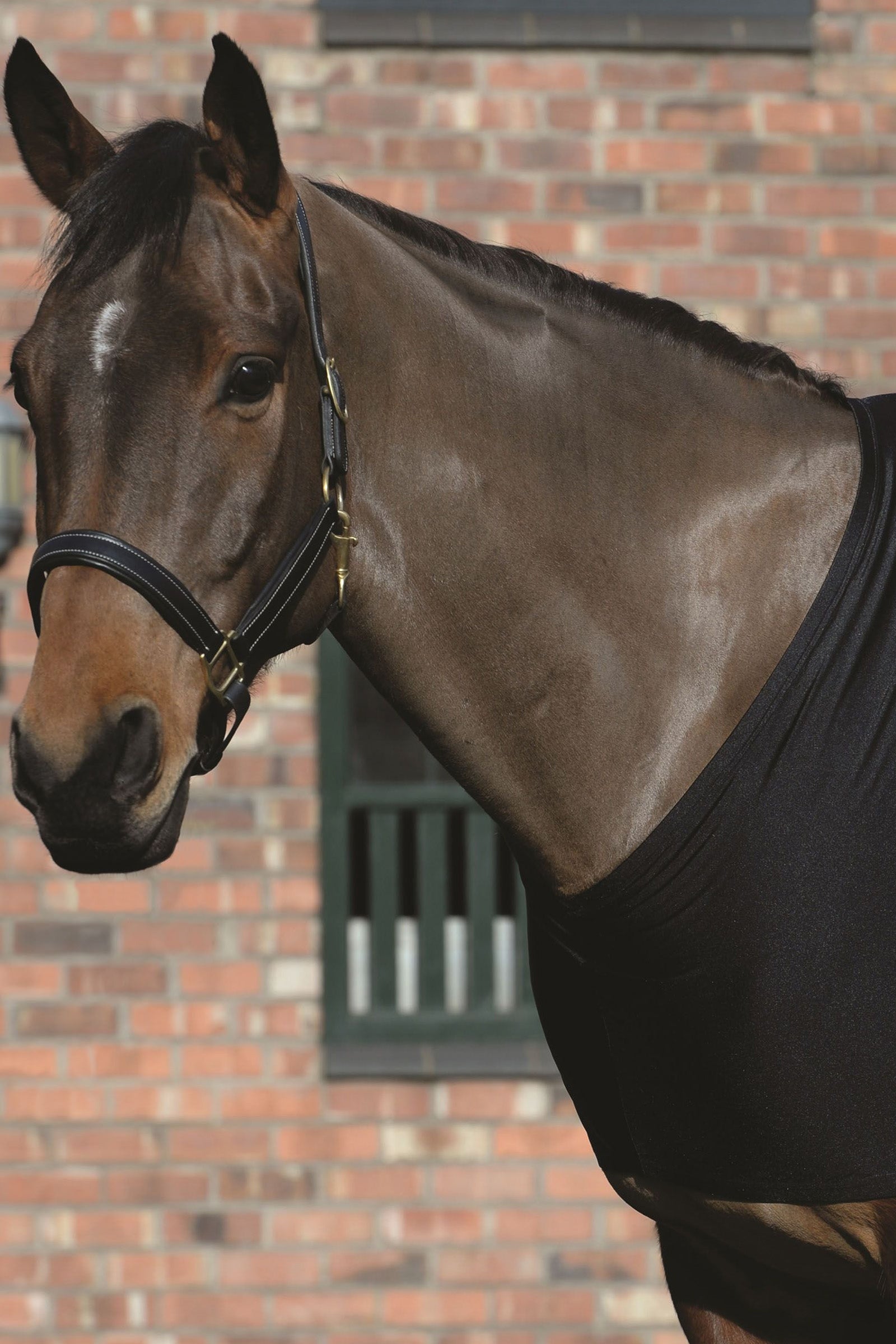 Weatherbeeta Naramienniki ze stretchem Derki