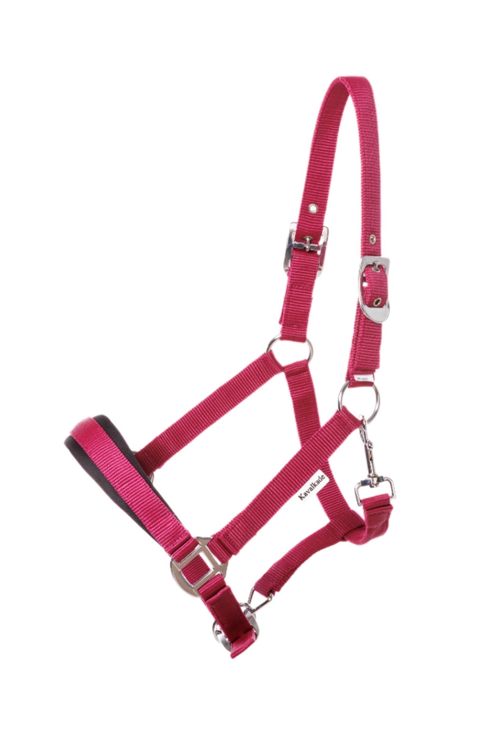 Kavalkade Classic Simple Halter Icelandic Halters & Leads