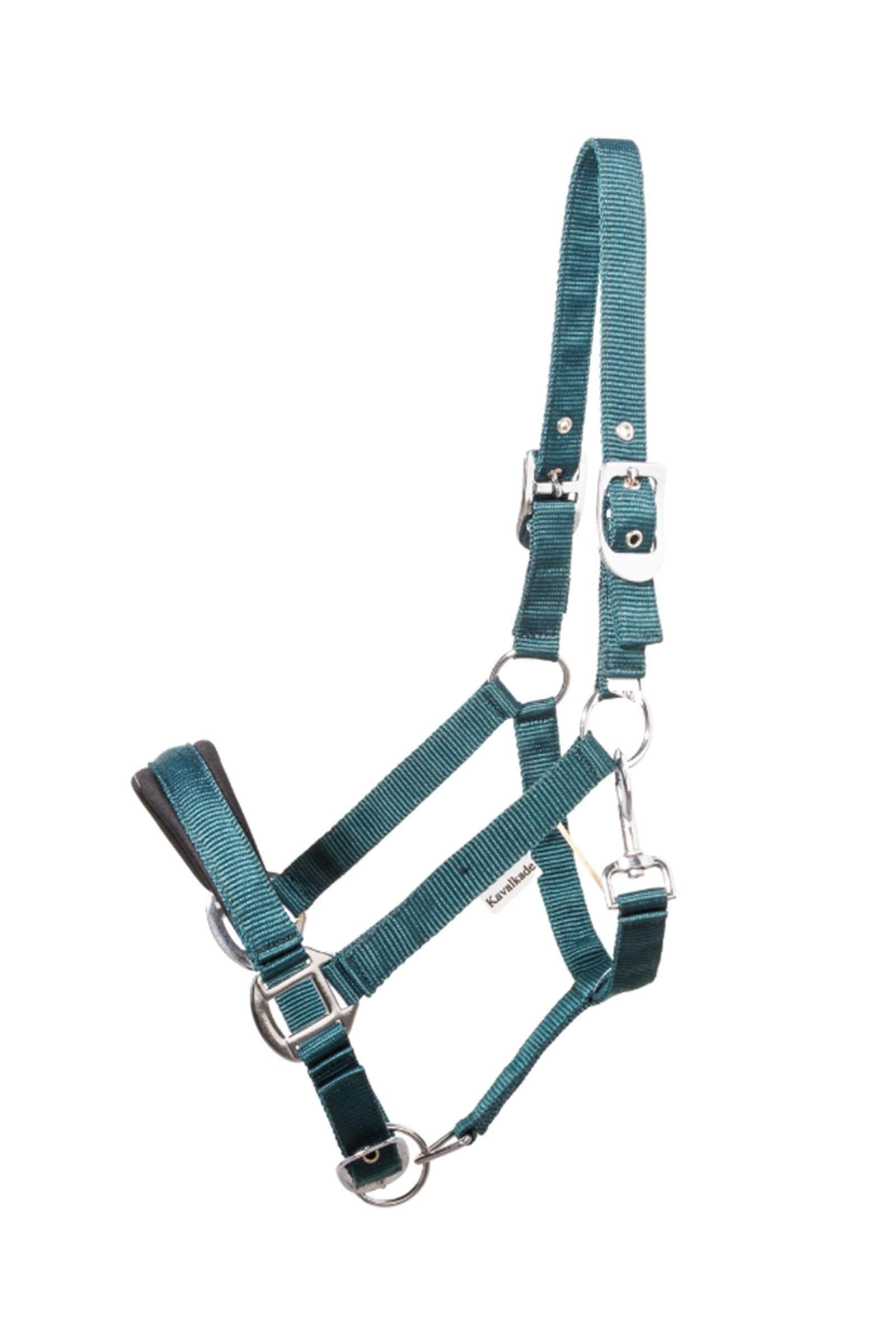 Kavalkade Classic Simple Halter Icelandic Halters & Leads