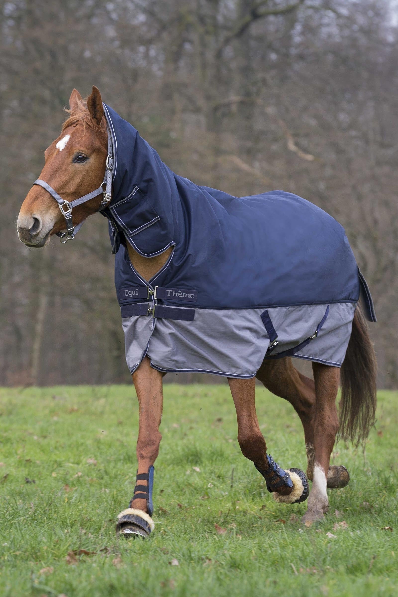 Equi Theme EQUITHÈME TYREX 600D Combo Rug, 350 g Horse Rugs