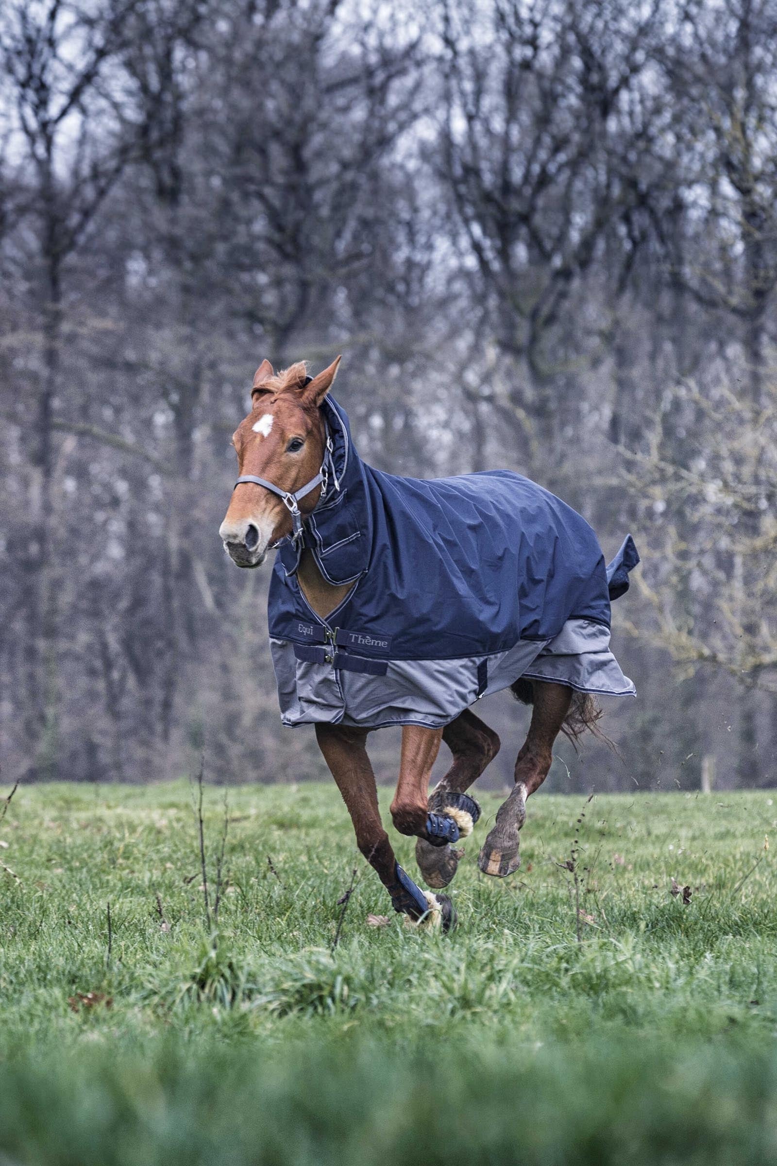 Equi Theme EQUITHÈME TYREX 600D Combo Rug, 350 g Horse Rugs