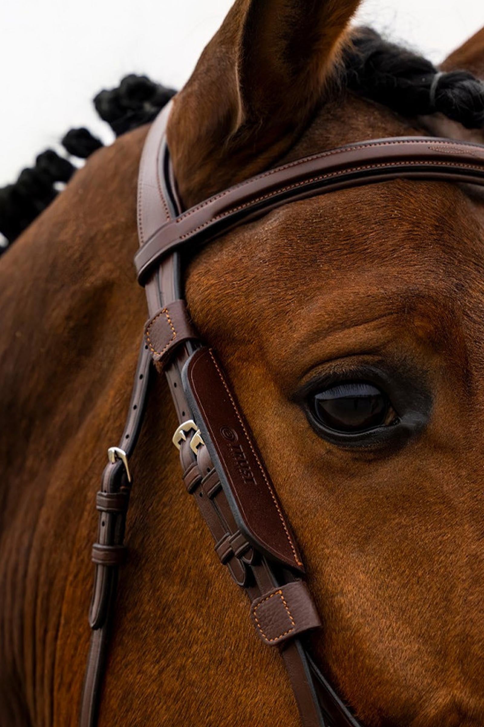 Trust Equestrian Blinkers Racing Tack