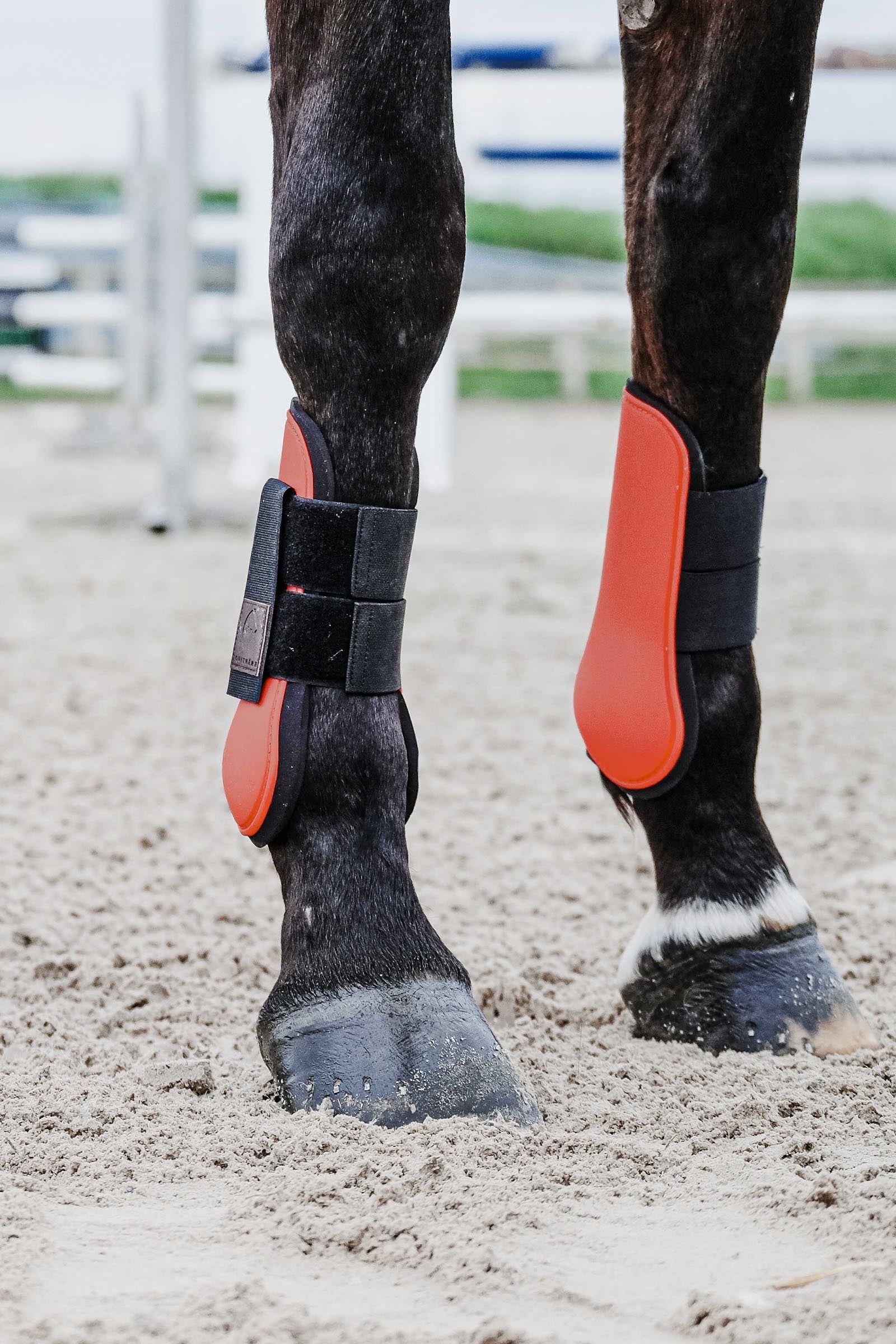 Equi Theme EQUITHÈME Tara Tendon Boots Leg & Hoof Protection
