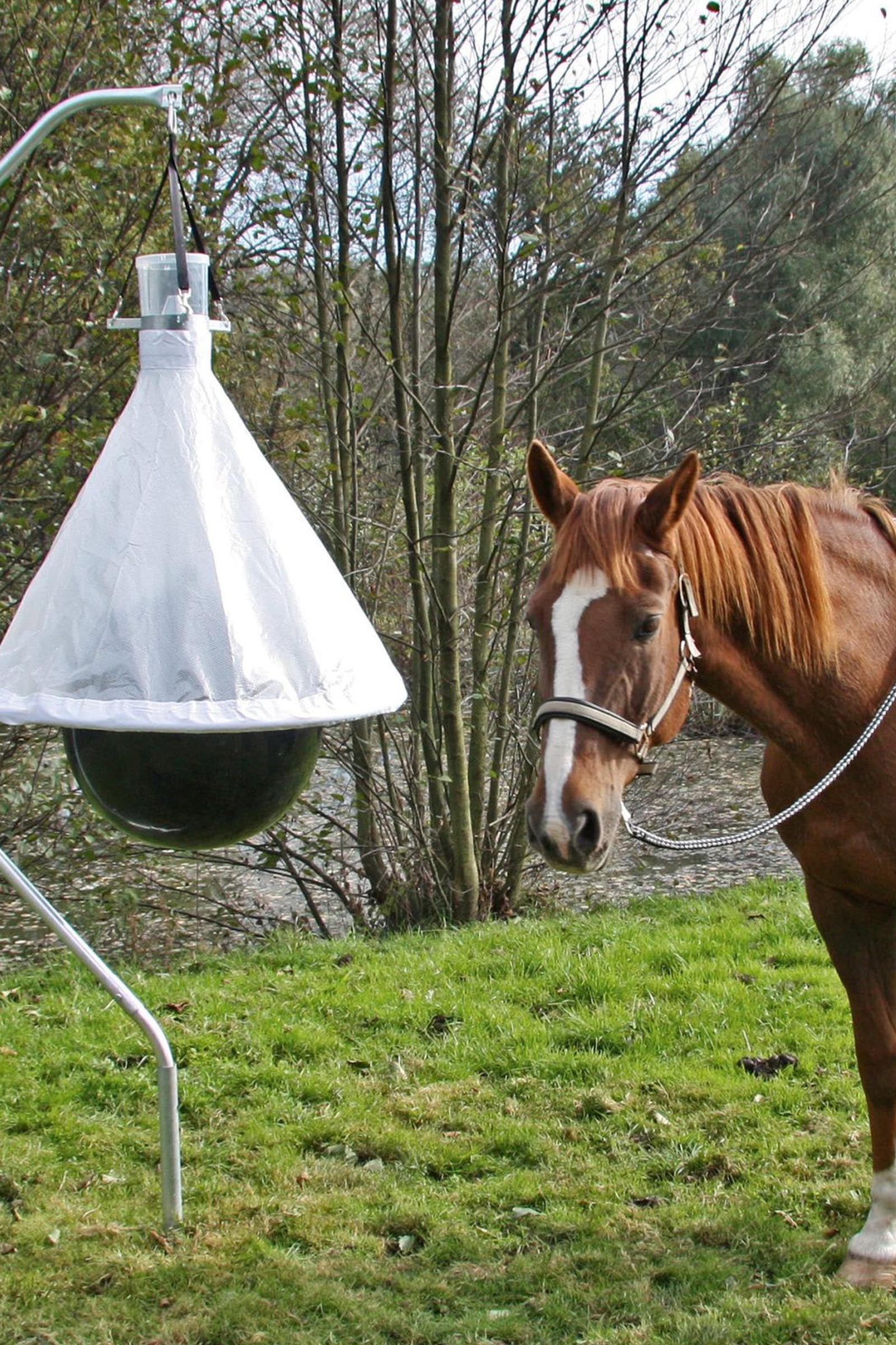 Kerbl Horsefly Trap Taonx Antifly Protection for Horses