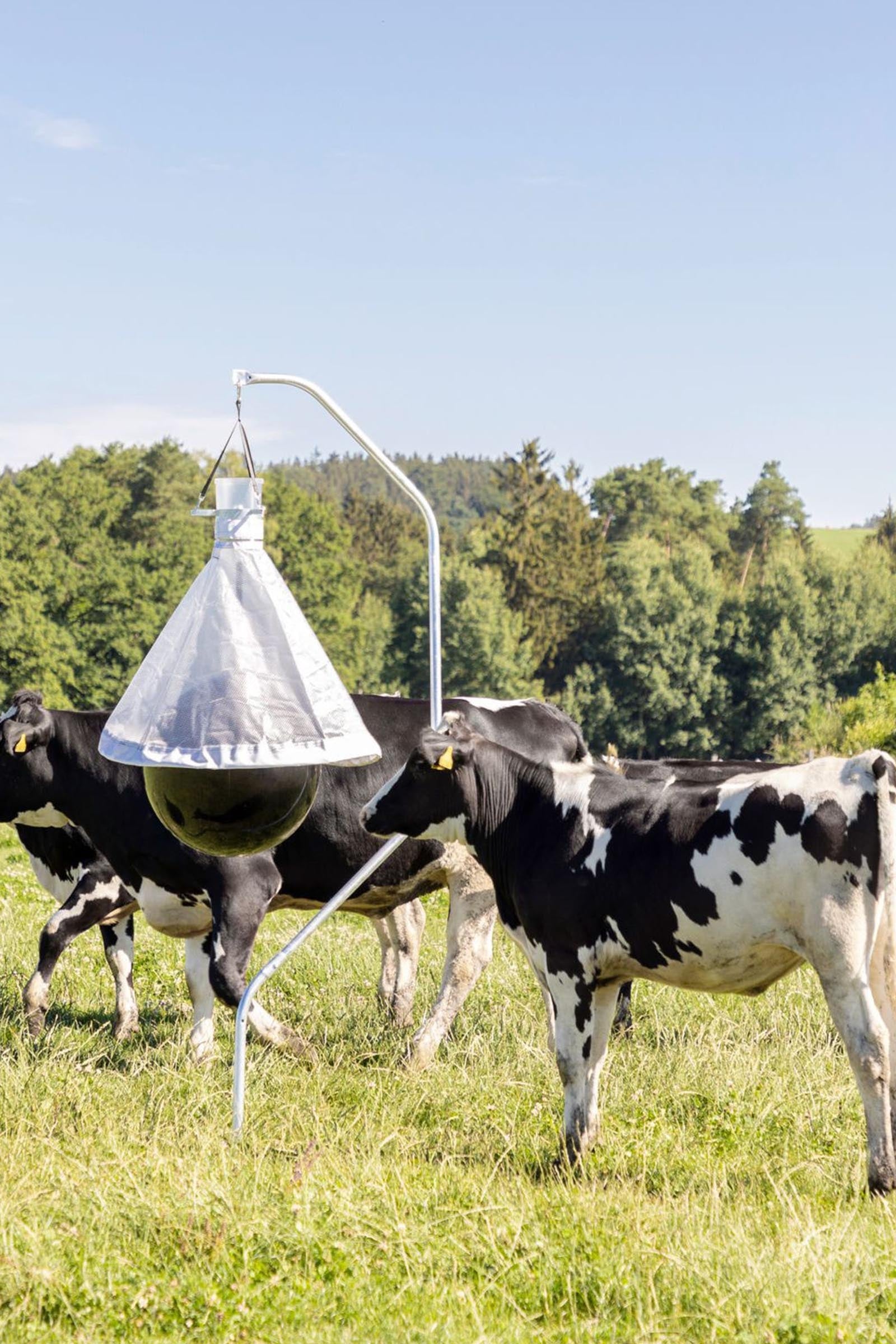 Kerbl Horsefly Trap Taonx Antifly Protection for Horses