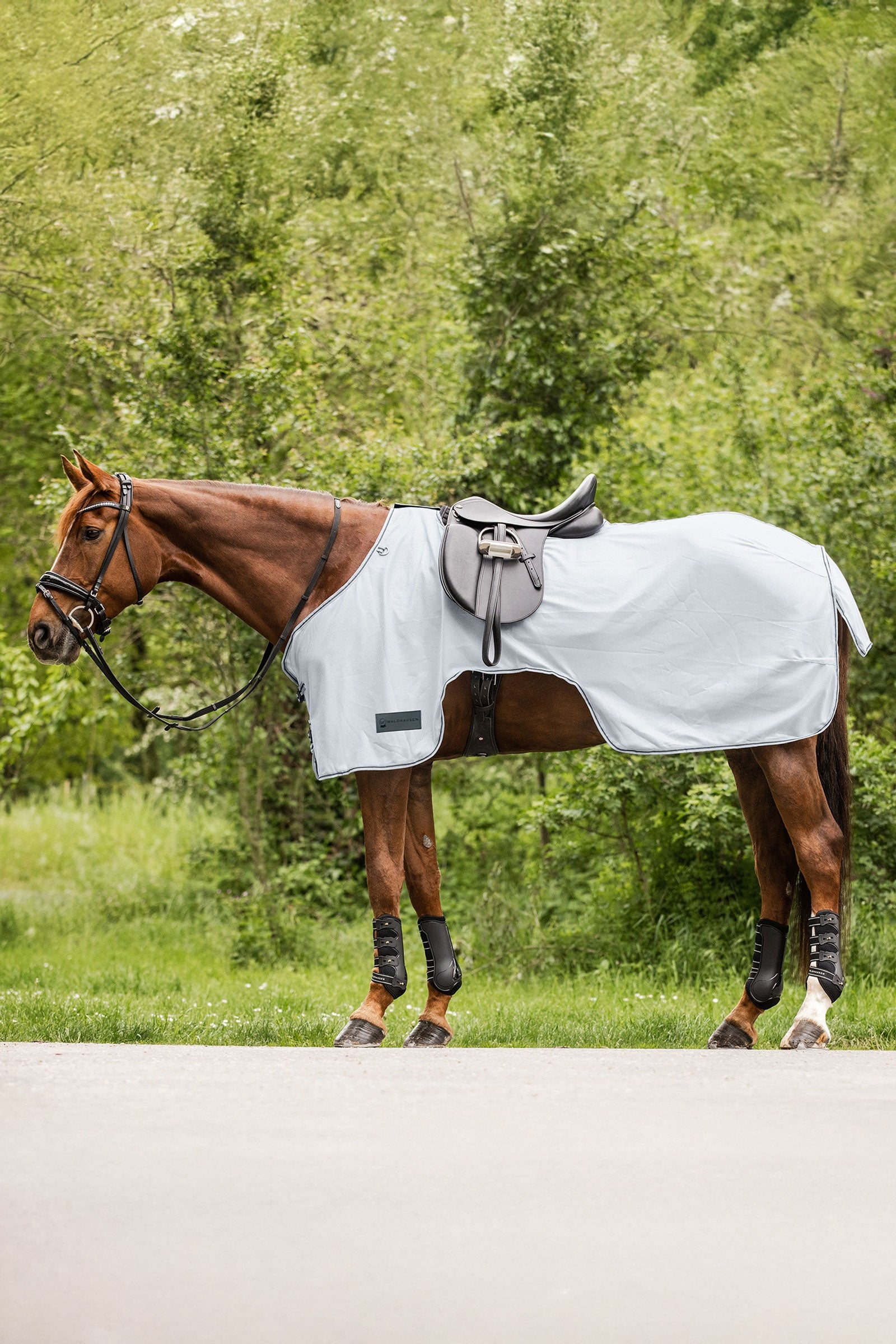 Waldhausen Protect Fly Exercise Sheet Horse Rugs