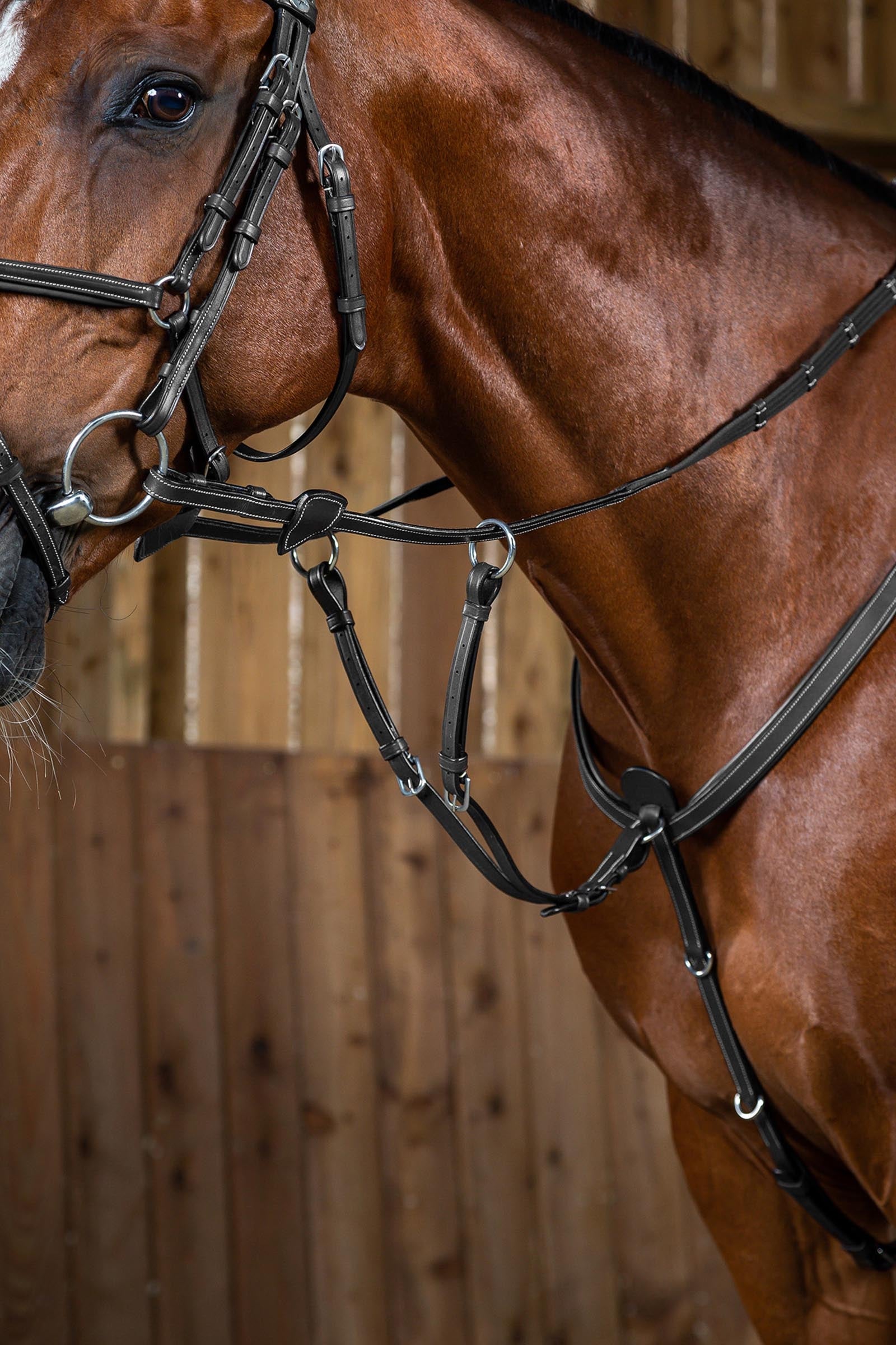 Dy'on Working część wytoku Ogłowia i wodze