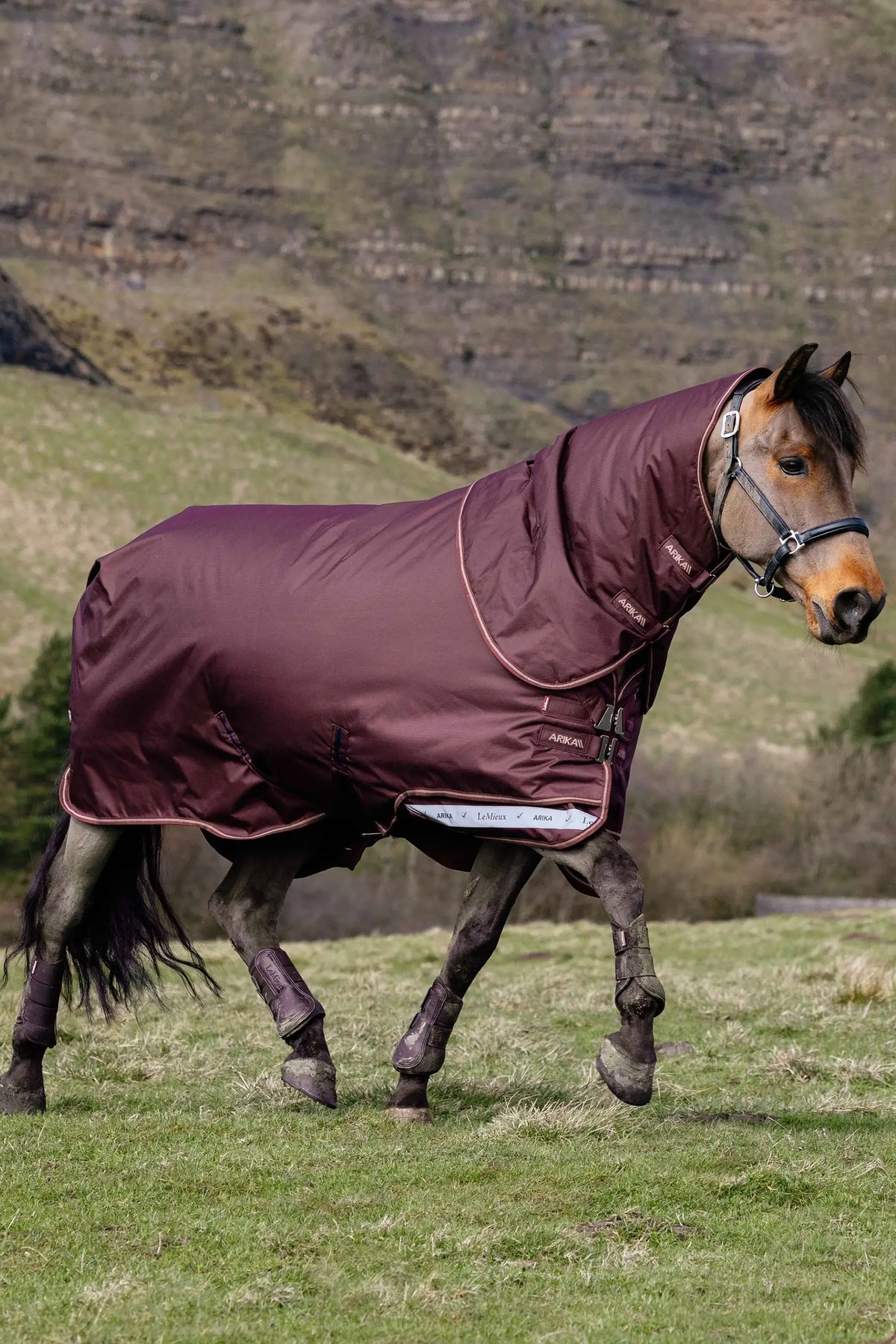 LeMieux Arika Ripstop Turnout Rug With Detachable Neck, 200 g Horse Rugs
