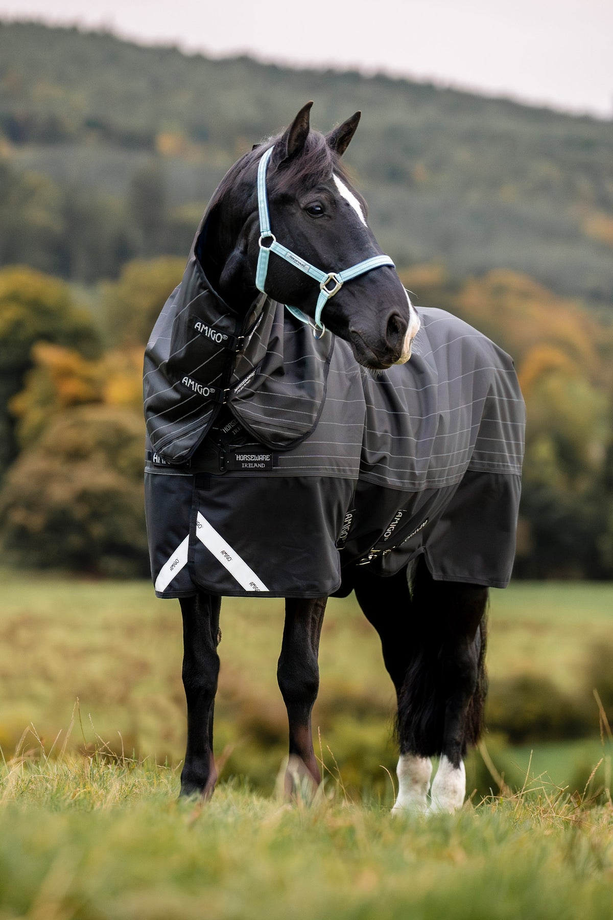 Horseware Amigo 1200D FieldSafe Reflectech Plus derka padokowa z odpinanym kapturem na szyję, 0 g Derki