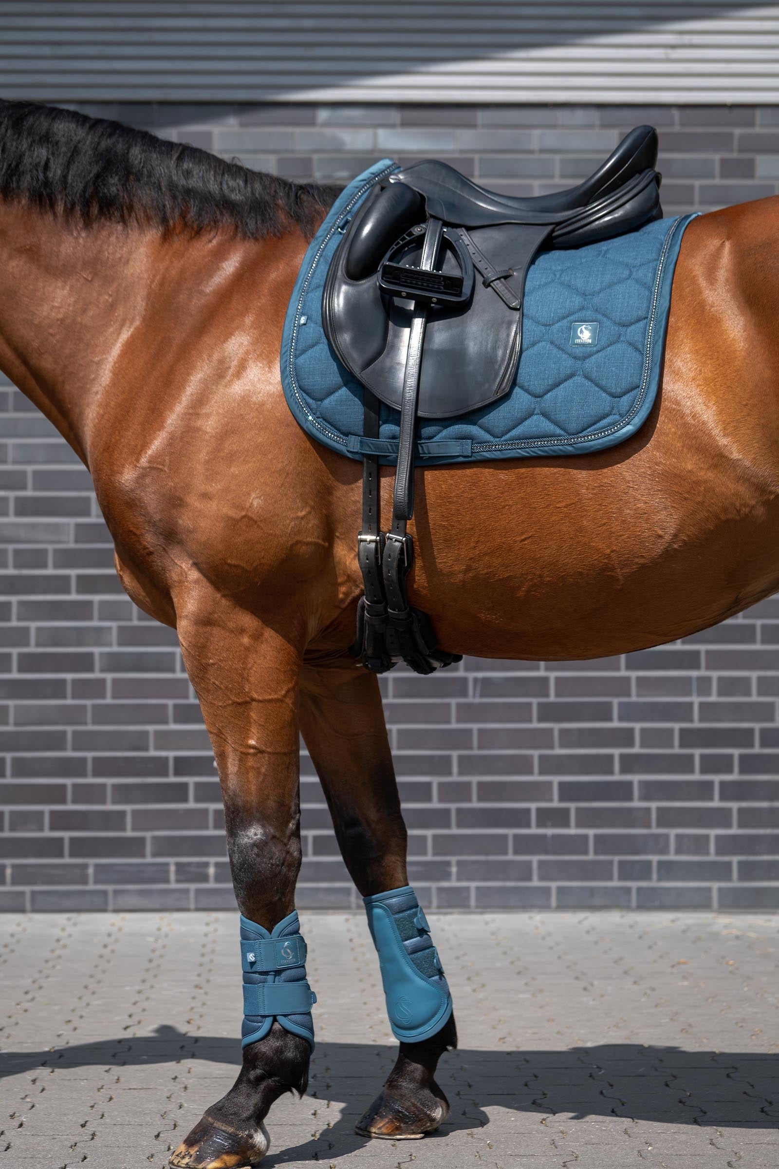 Eskadron Classic Sport SS26 Mesh Tendon Boots Leg & Hoof Protection