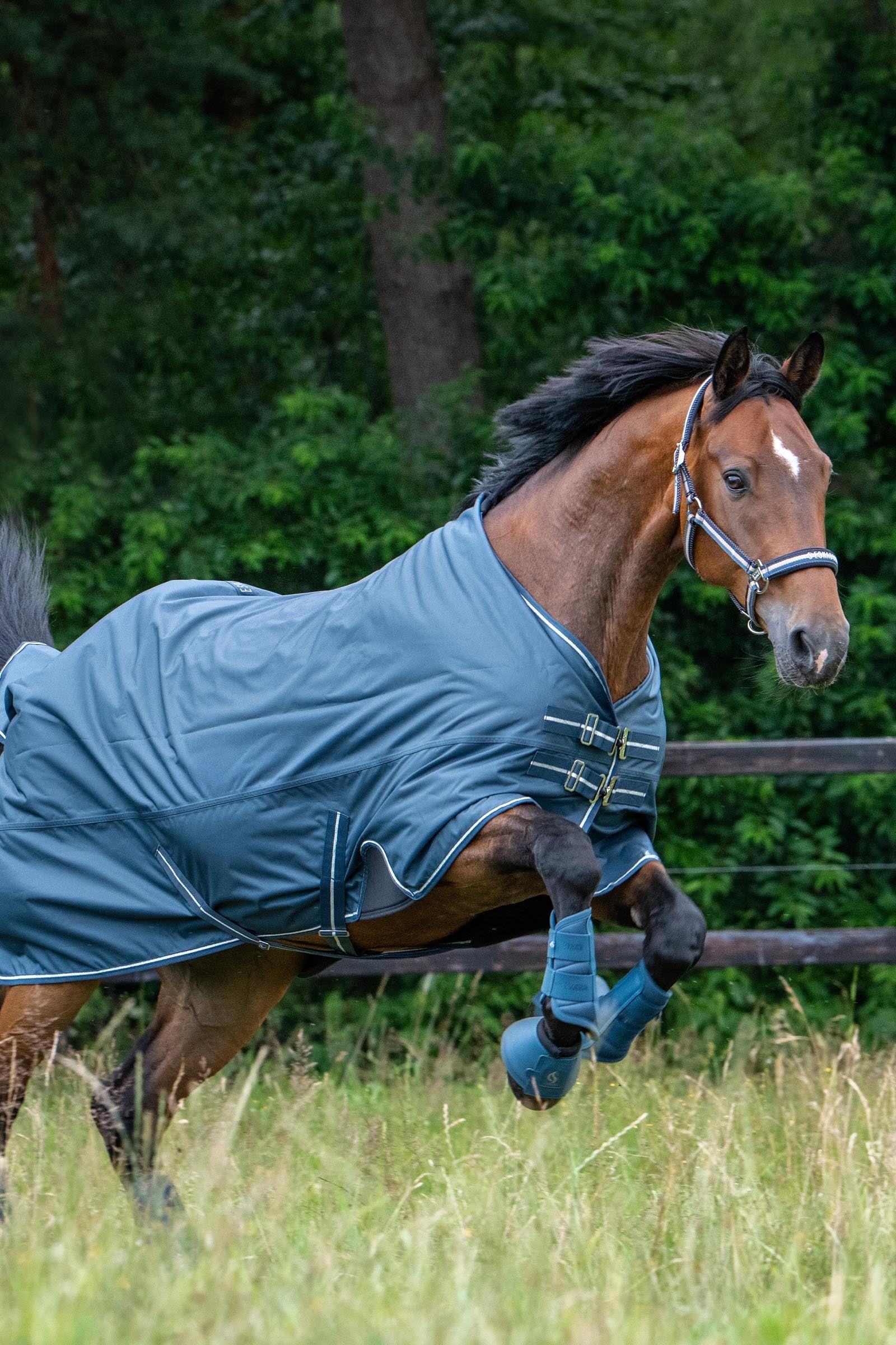 Eskadron Classic Sport SS26 Mesh Tendon Boots Leg & Hoof Protection