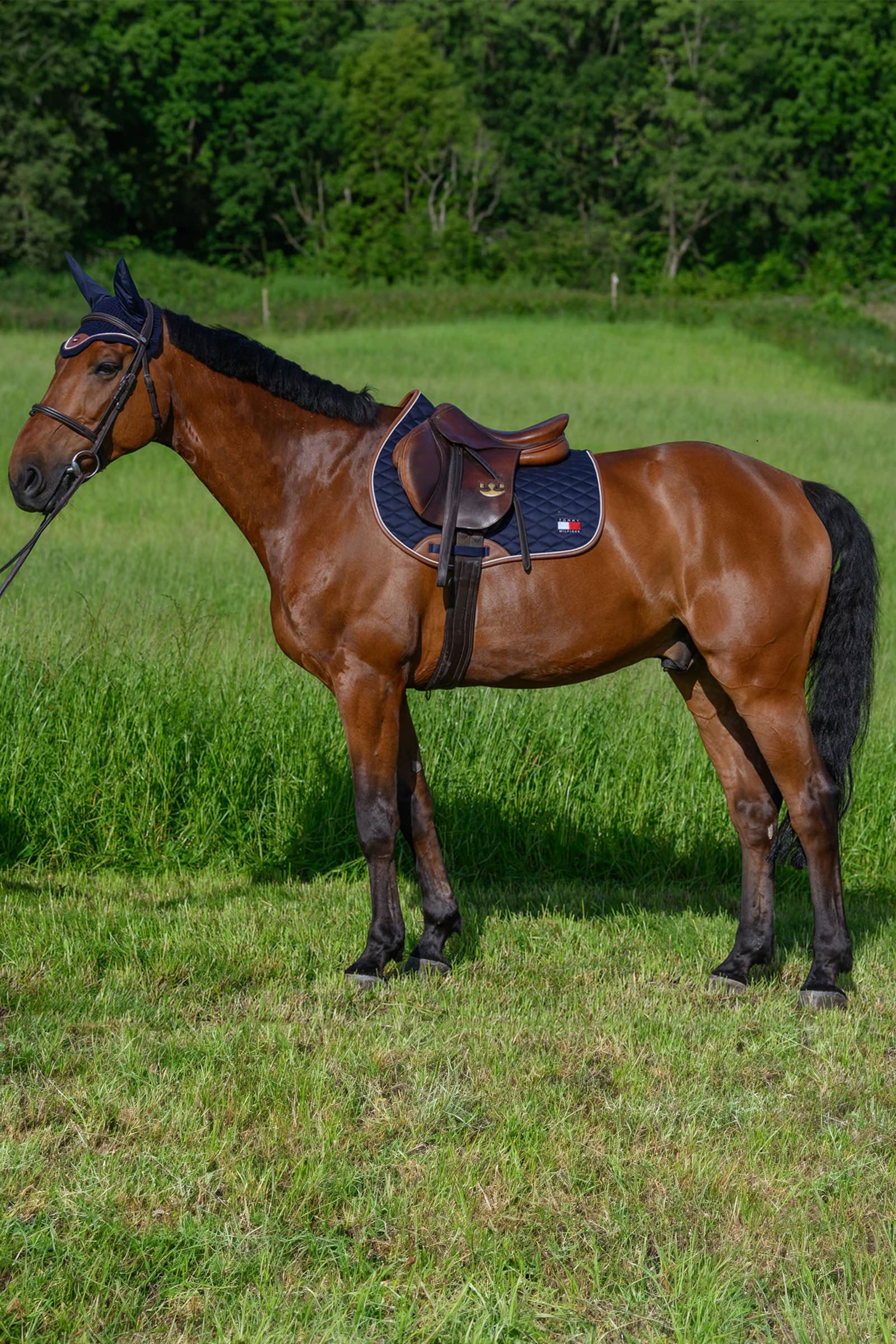 Tommy Hilfiger Equestrian Princeton Jumping Saddlepad Saddle Pads