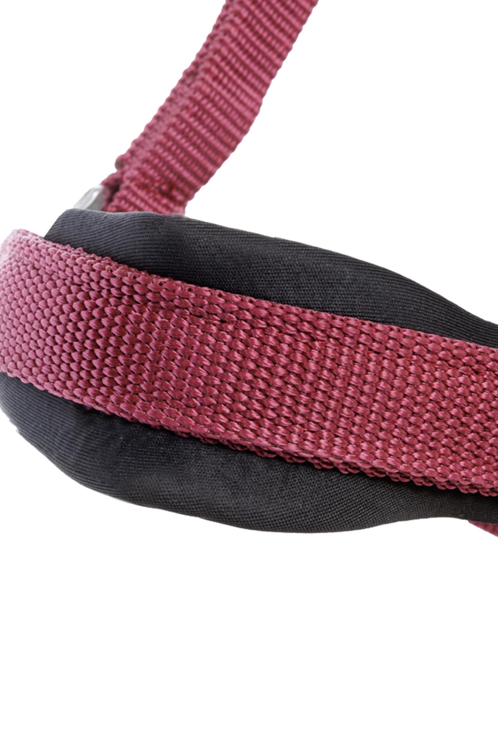 Kavalkade Classic Simple Halter Halters & Leads
