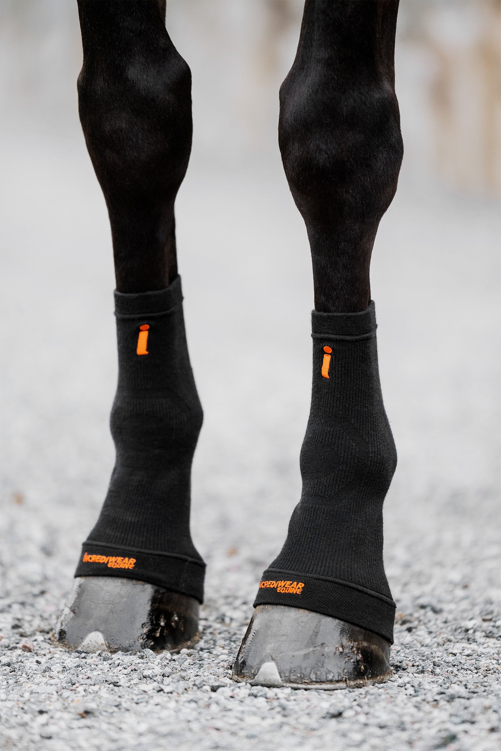 Incrediwear Circulation Skarpety na kopyta Leg Protection & Hoof Protection for Horses