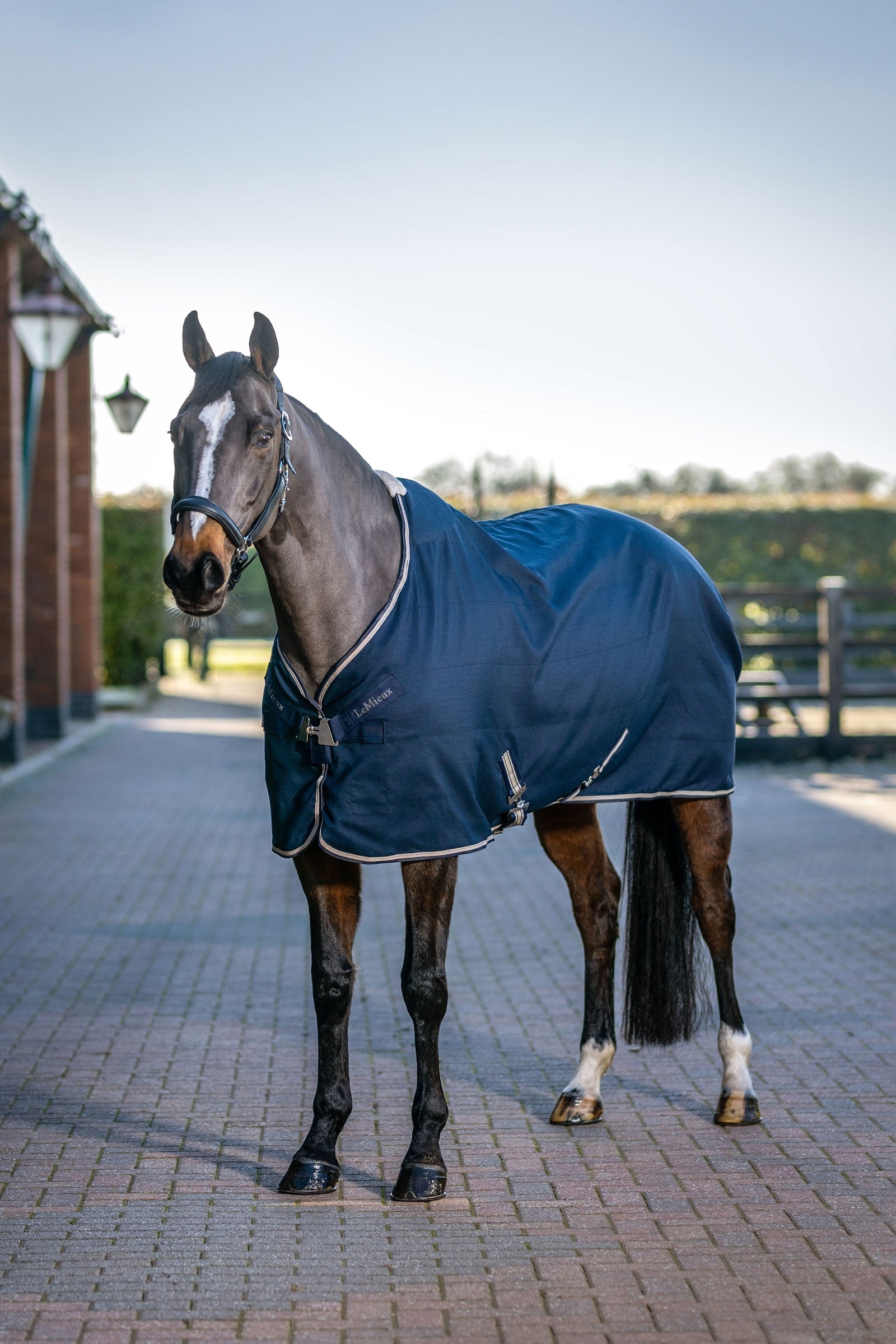 LeMieux Kudos Stable Sheet, 0g Horse Rugs