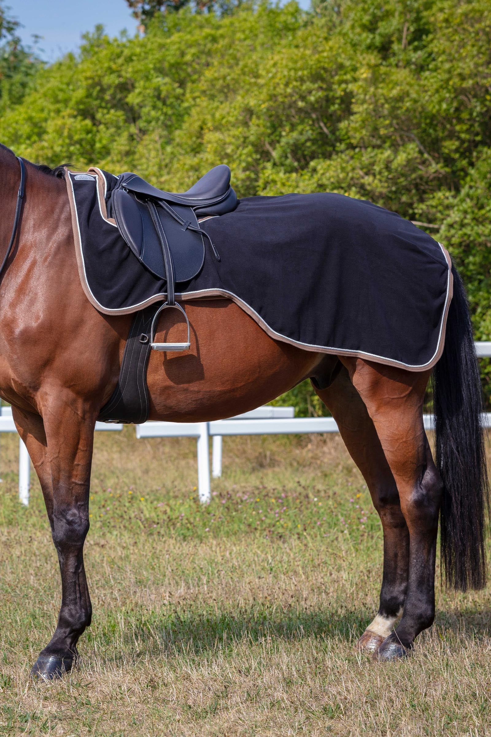Equi Theme EQUITHÈME Polyfun Polar Fleece Exercize Sheet Horse Rugs