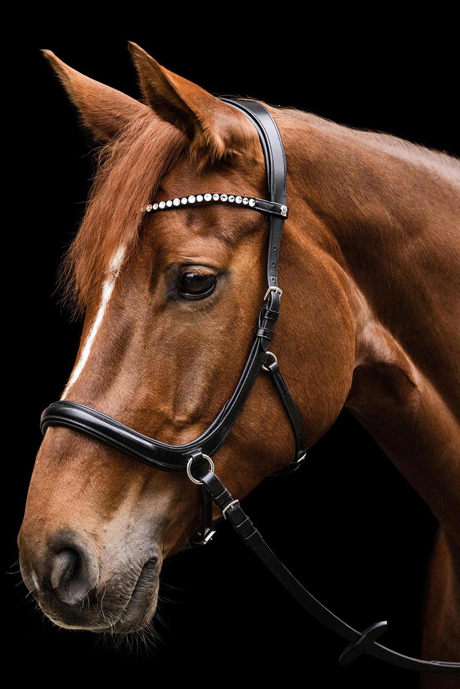 Waldhausen X-Line Sensation Anatomical Bitless Bridle Bridles & Reins