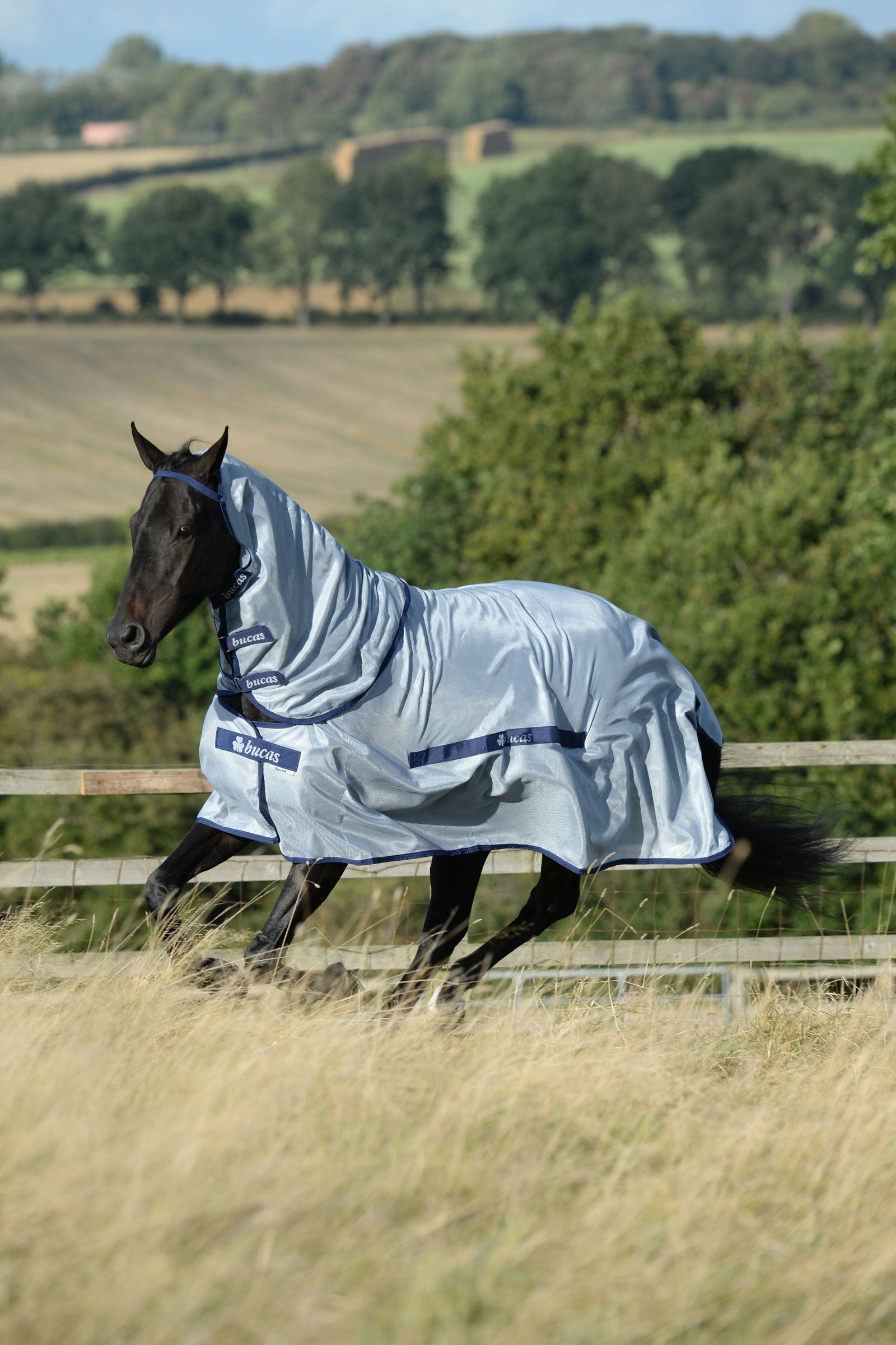 Bucas Buzz-Off Full Neck Fly Rug With Fixed Neck Horse Rugs