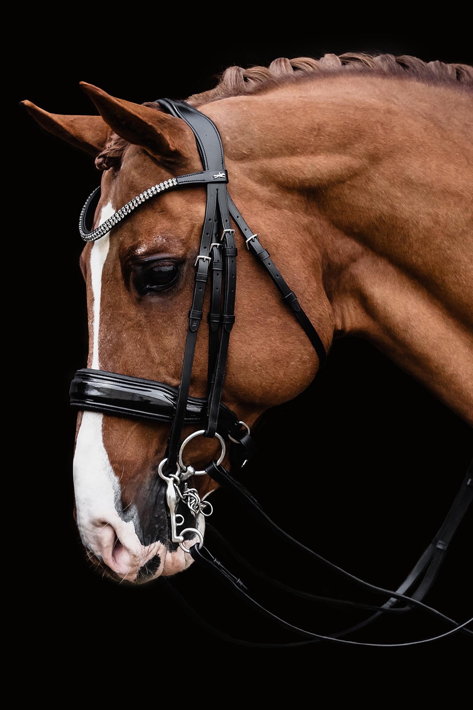 Schockemöhle Sports Schockemoehle Sports Kandare SP Monticelli Bridles & Reins
