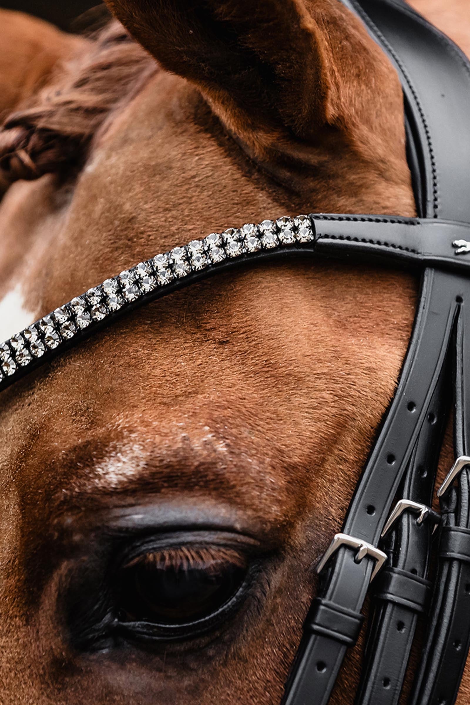 Schockemöhle Sports Schockemoehle Sports Kandare SP Monticelli Bridles & Reins