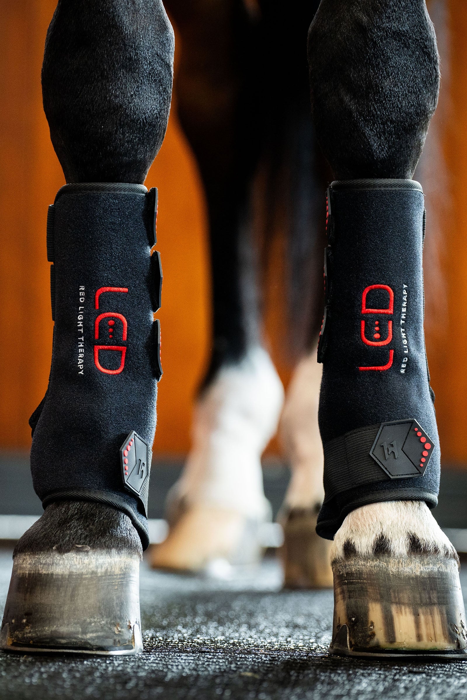 Horseware LED terapeutyczny ochraniacz z czerwonym światłem (1 szt.) Leg Protection & Hoof Protection for Horses