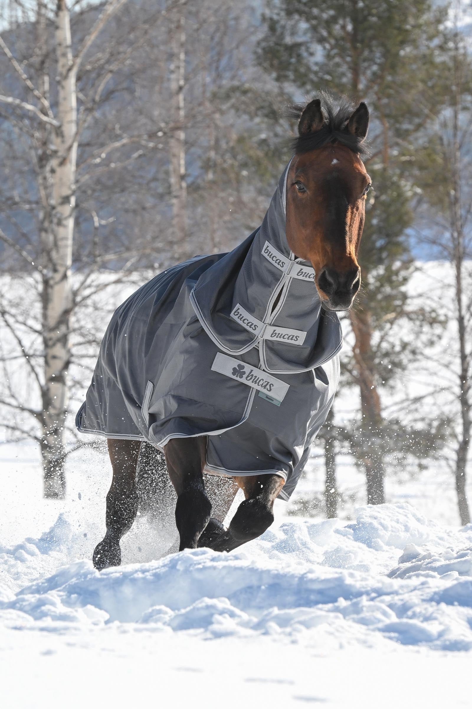 Bucas Smartex Combi Neck 300 Horse Rugs