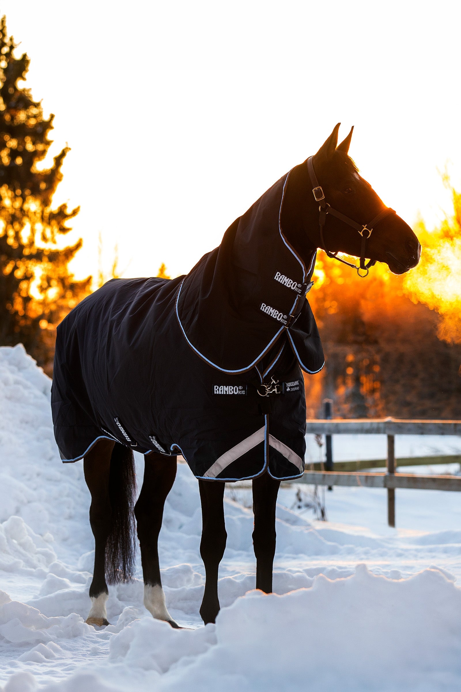 Horseware Rambo Duo Turnout incl. Detachable Hood, 100g Horse Rugs
